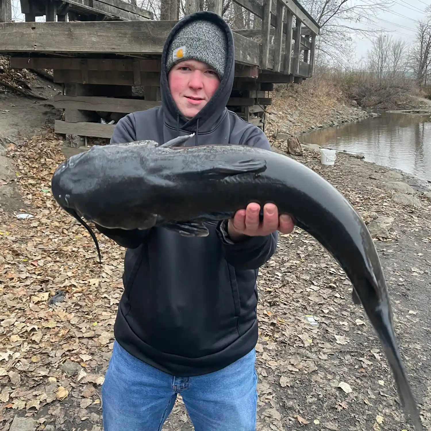 ᐅ Cannon River Reservoir fishing reports🎣• Faribault, MN (United States)  fishing