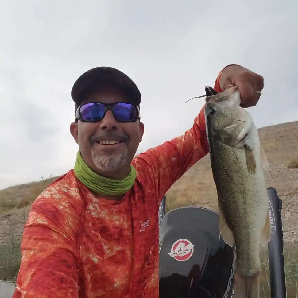 5/12/23 Government Wash, Lake Mead. Fishing for Stripers! 