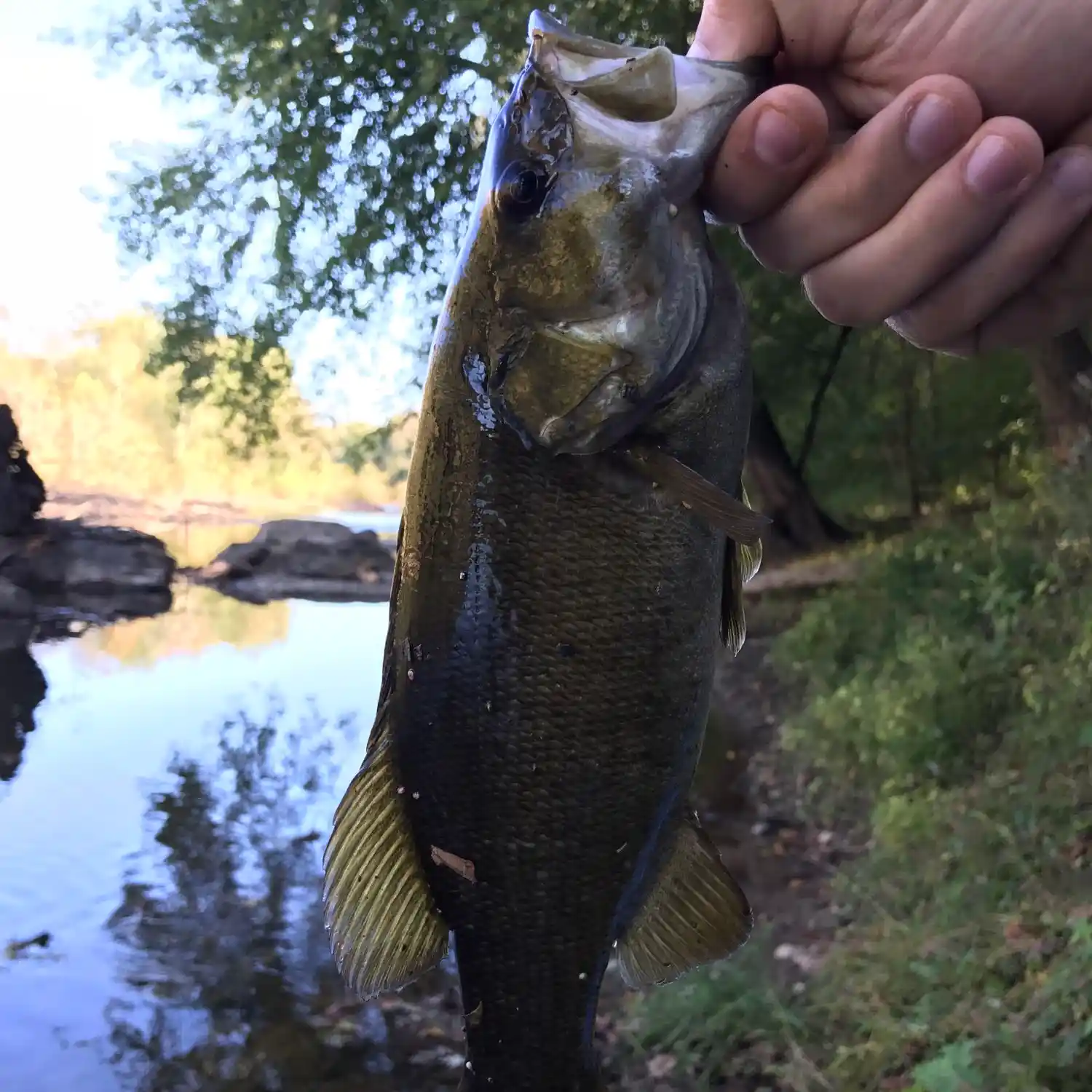 Monocacy River Fishing