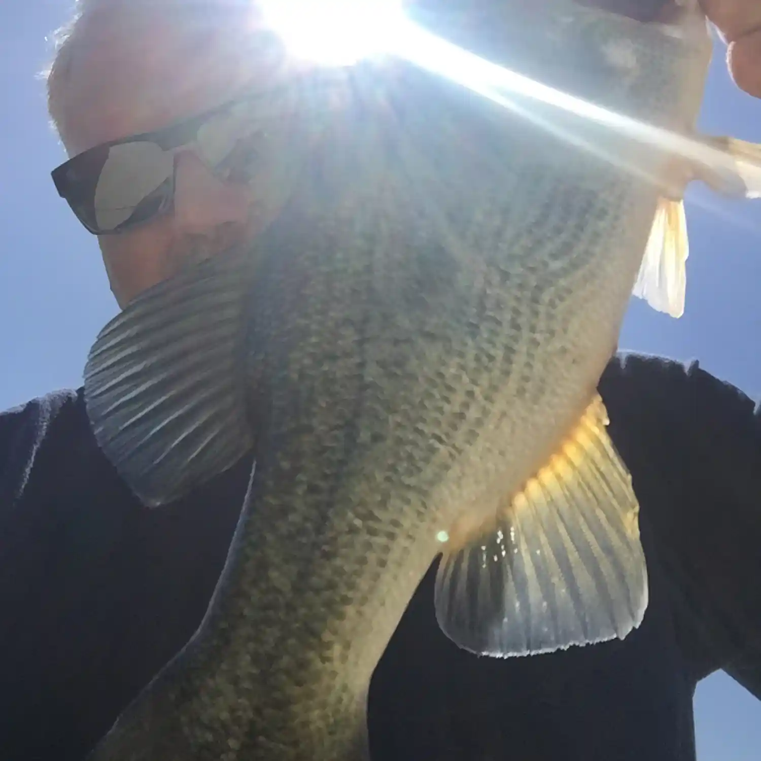 California Bass Forecast - Game & Fish