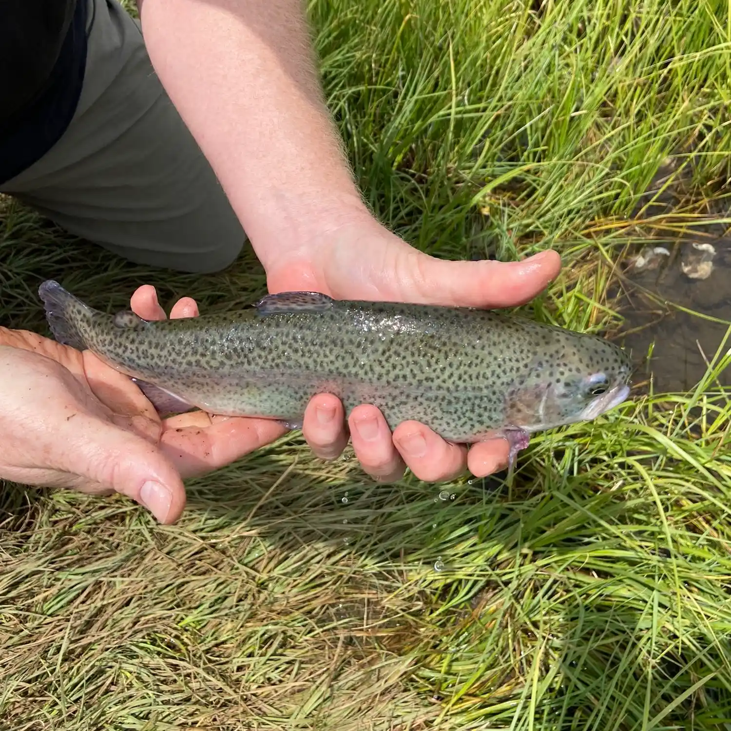 ᐅ Beaver Dam Reservoir fishing reports🎣• Price, UT (United