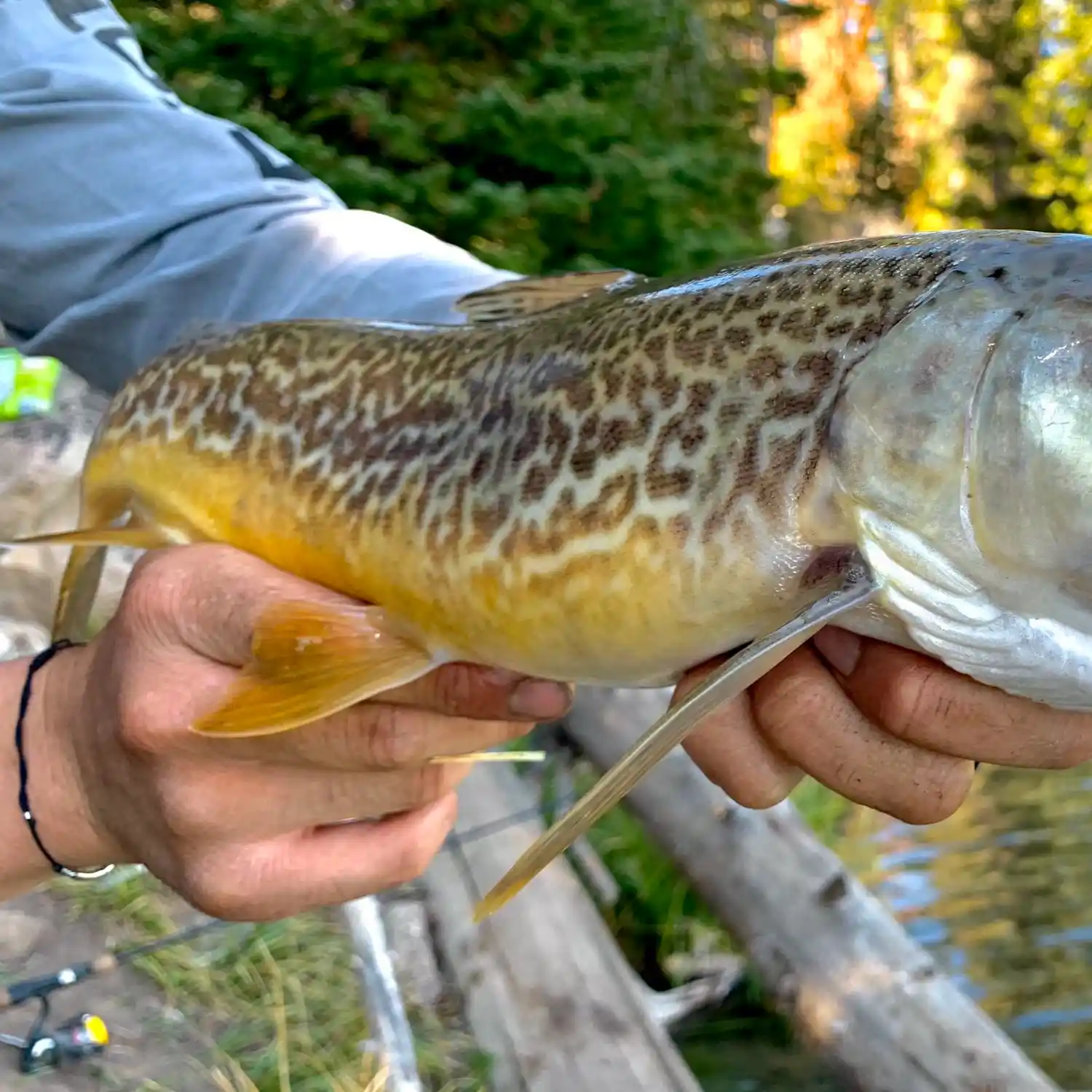 Top Multi-Species Fishing Destination: Rathbun Reservoir, Io - In-Fisherman