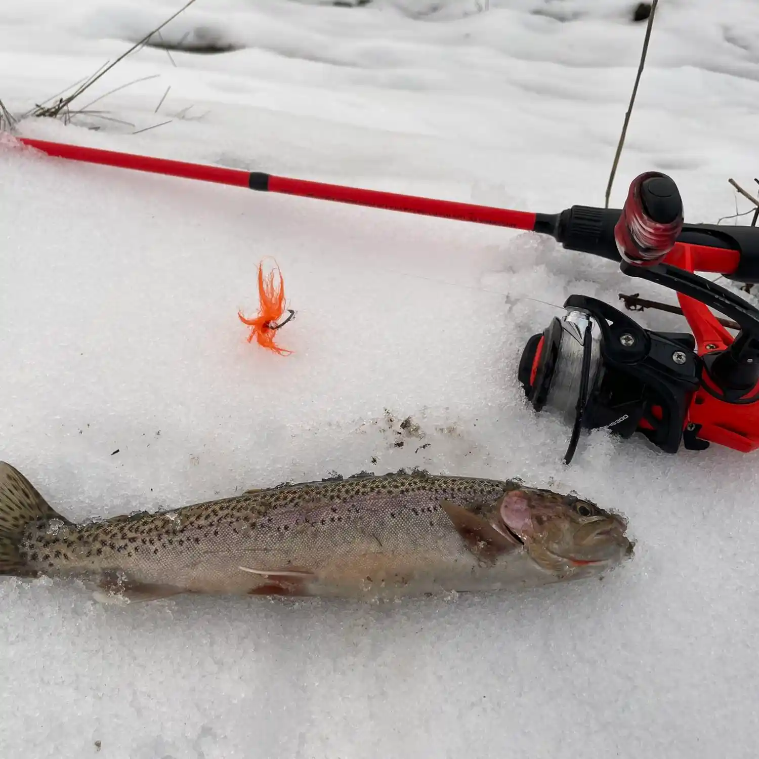 Snohomish River Salmon Fishing