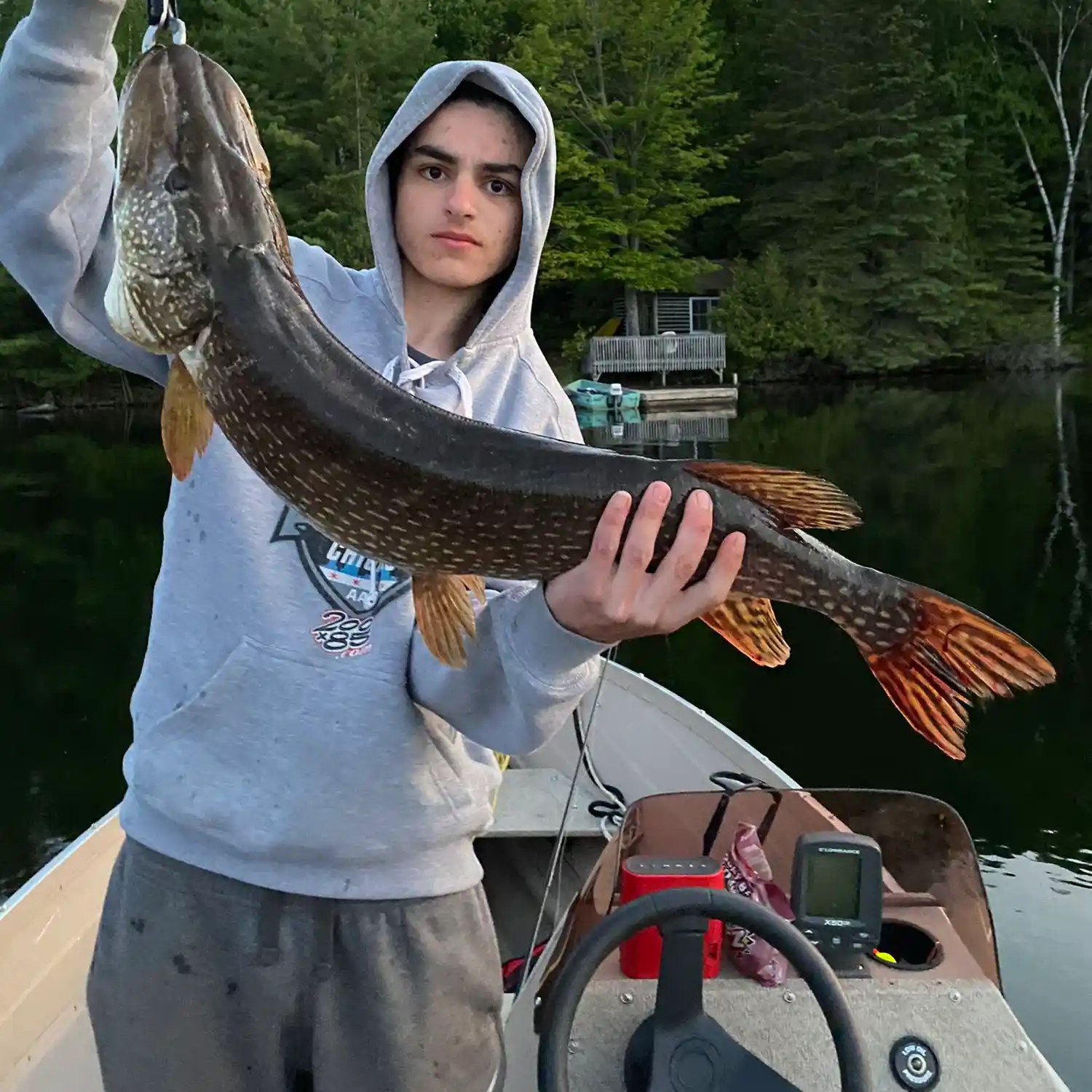 ᐅ South Lake fishing reports🎣• Ontario, Canada fishing
