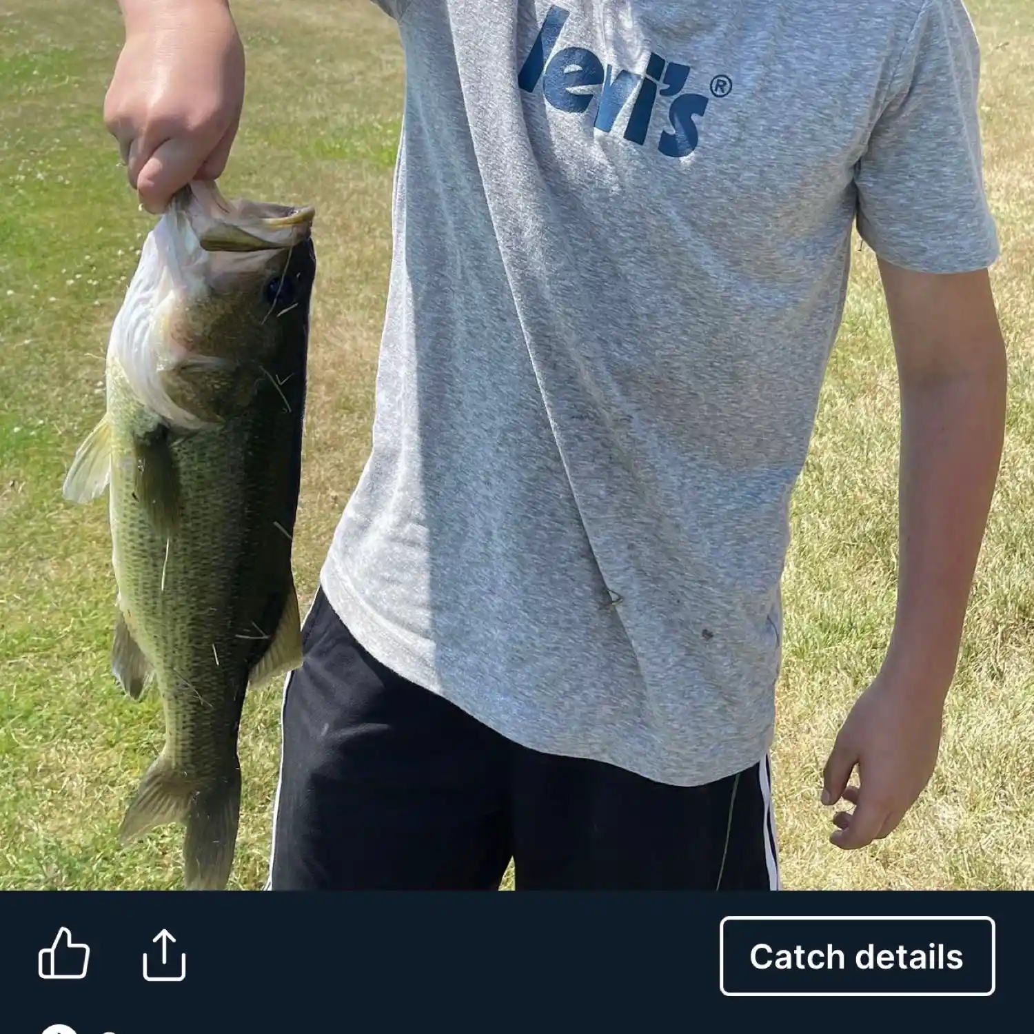 most liked catch image