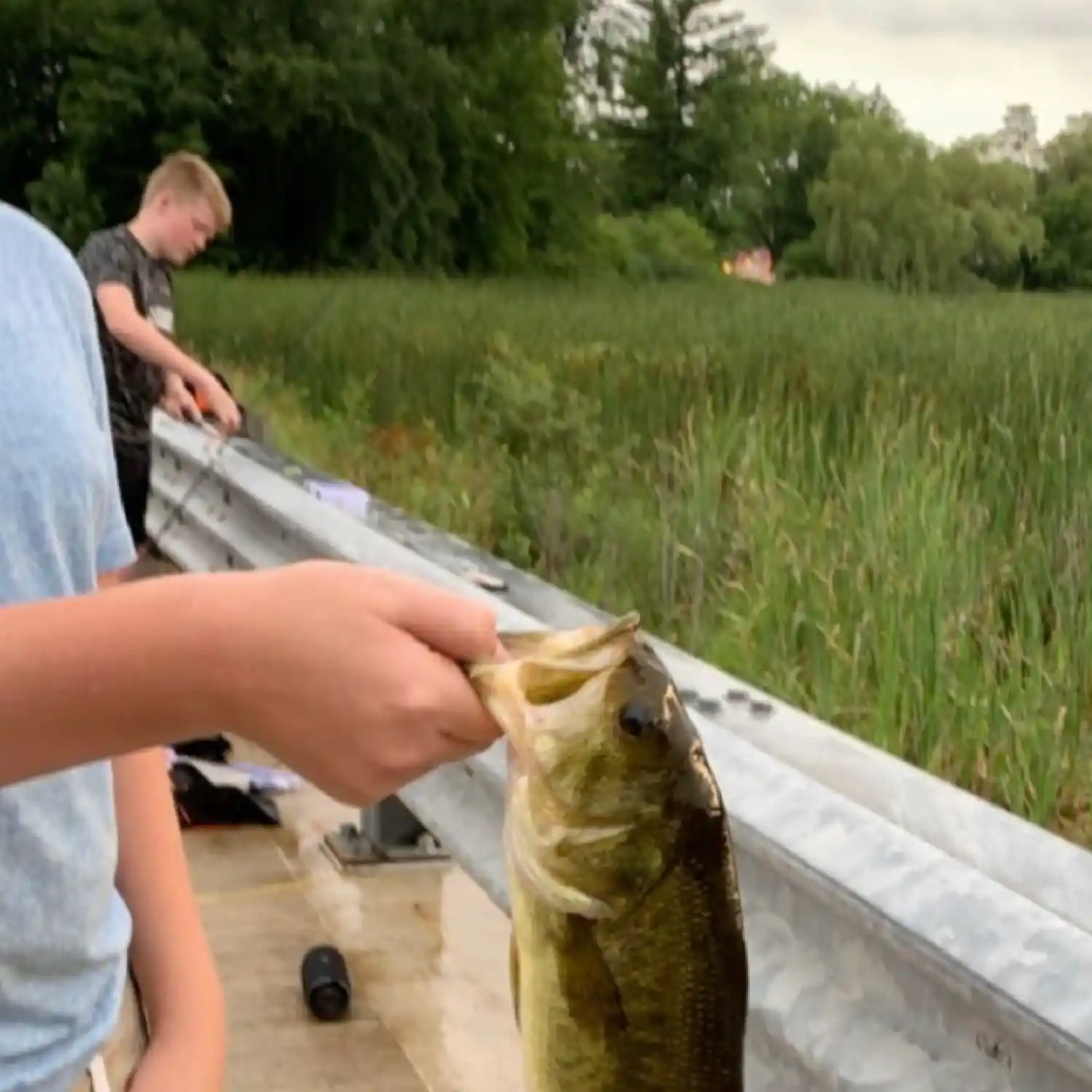 ᐅ Wautoma Millpond 23 fishing reports🎣• Plover, WI (United States) fishing