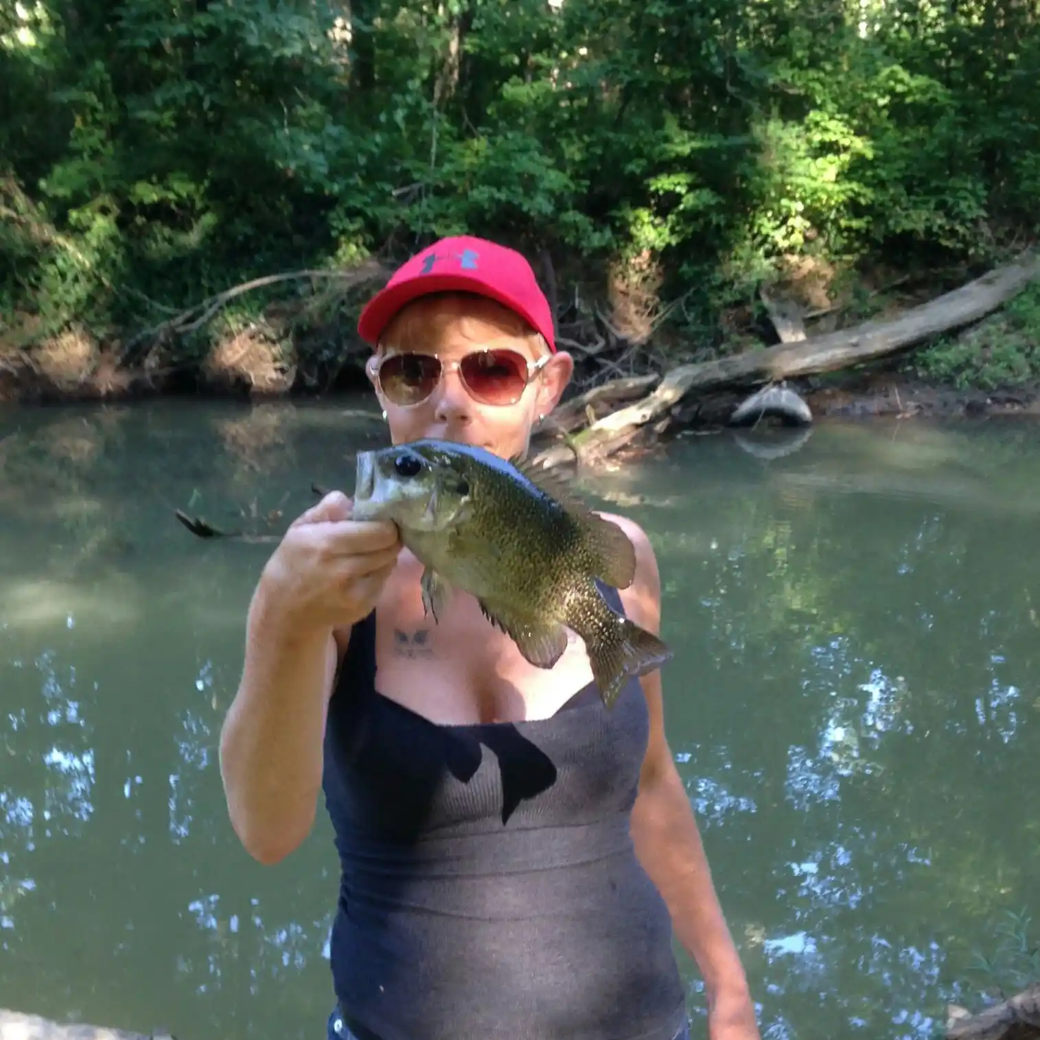 ᐅ Coahulla Creek fishing reports🎣• Dalton, GA (United States) fishing