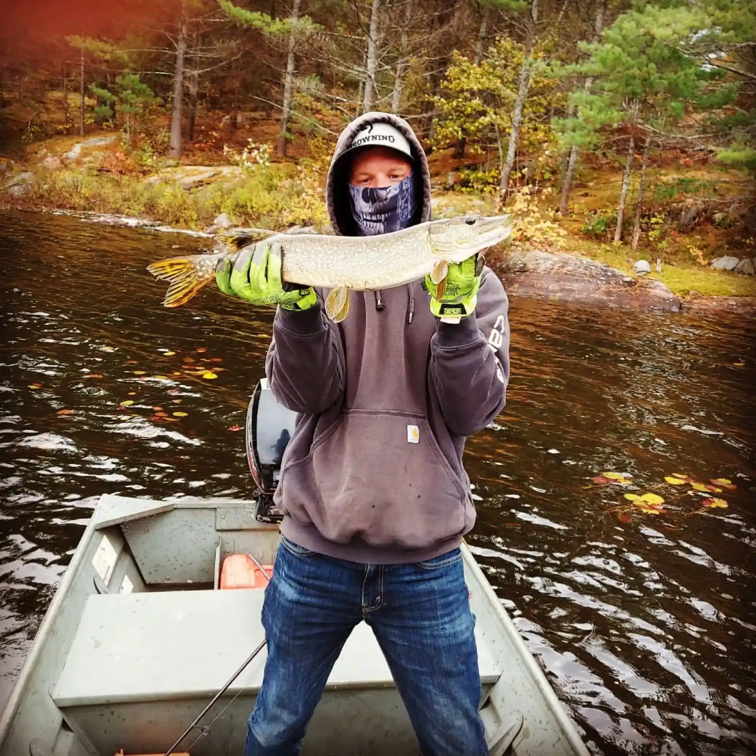 ᐅ Bells Lake fishing reports🎣• Ontario, Canada fishing