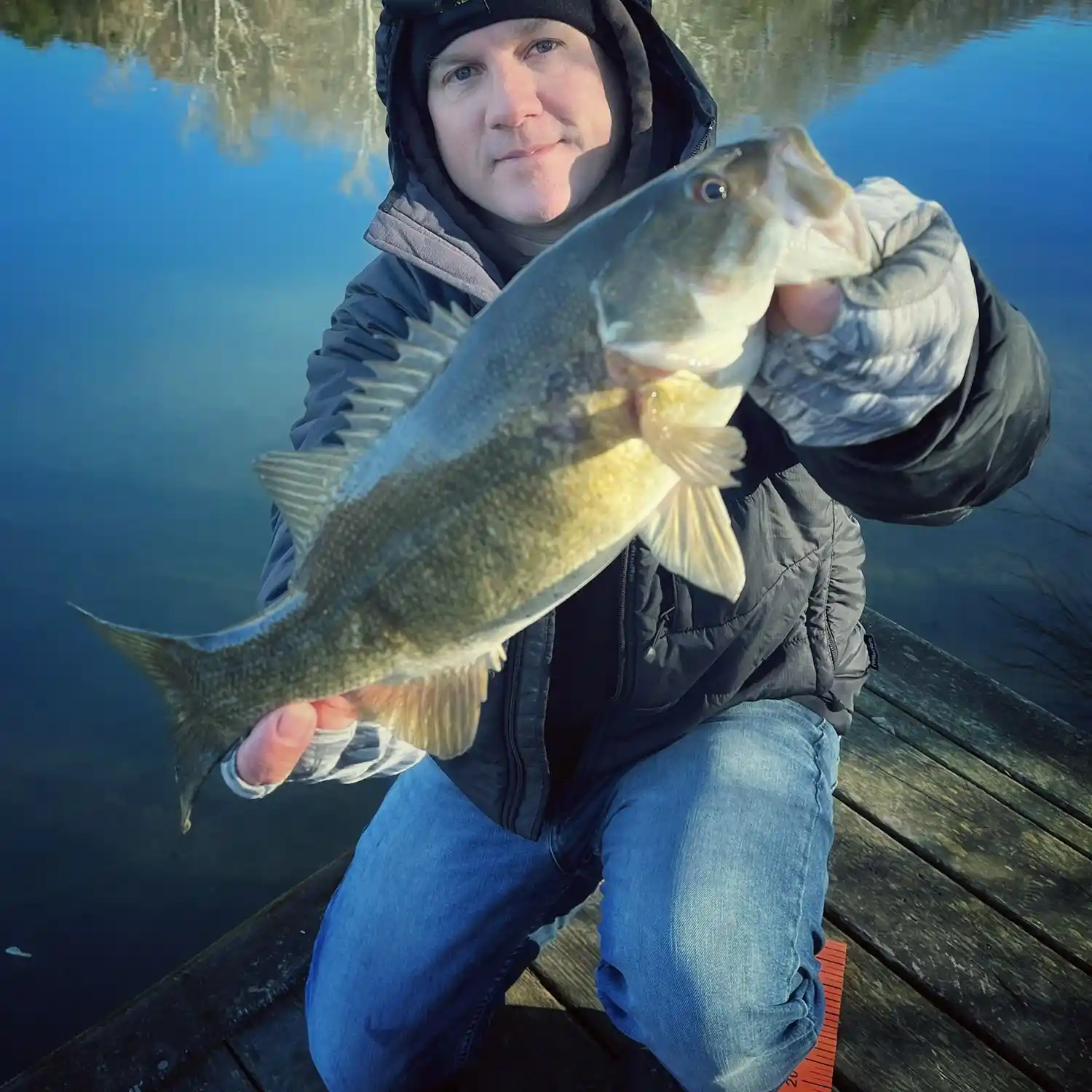 ᐅ Cub Run fishing reports🎣• Sudley, VA (United States) fishing