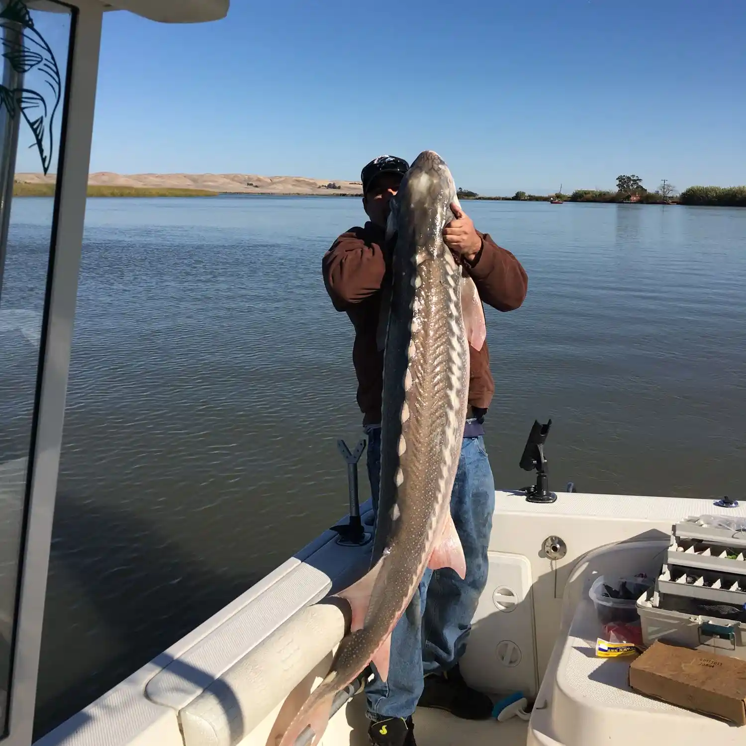 STURGEON in MONTEZUMA SLOUGH Spooled Line! 