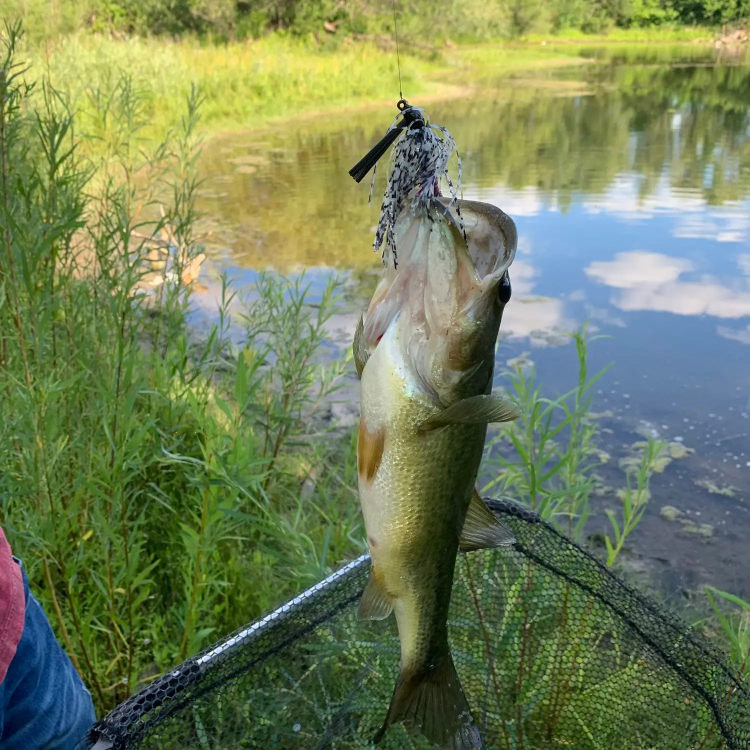 George Wyth Lake Fishing Report for Largemouth Bass(Sep 5, 2021