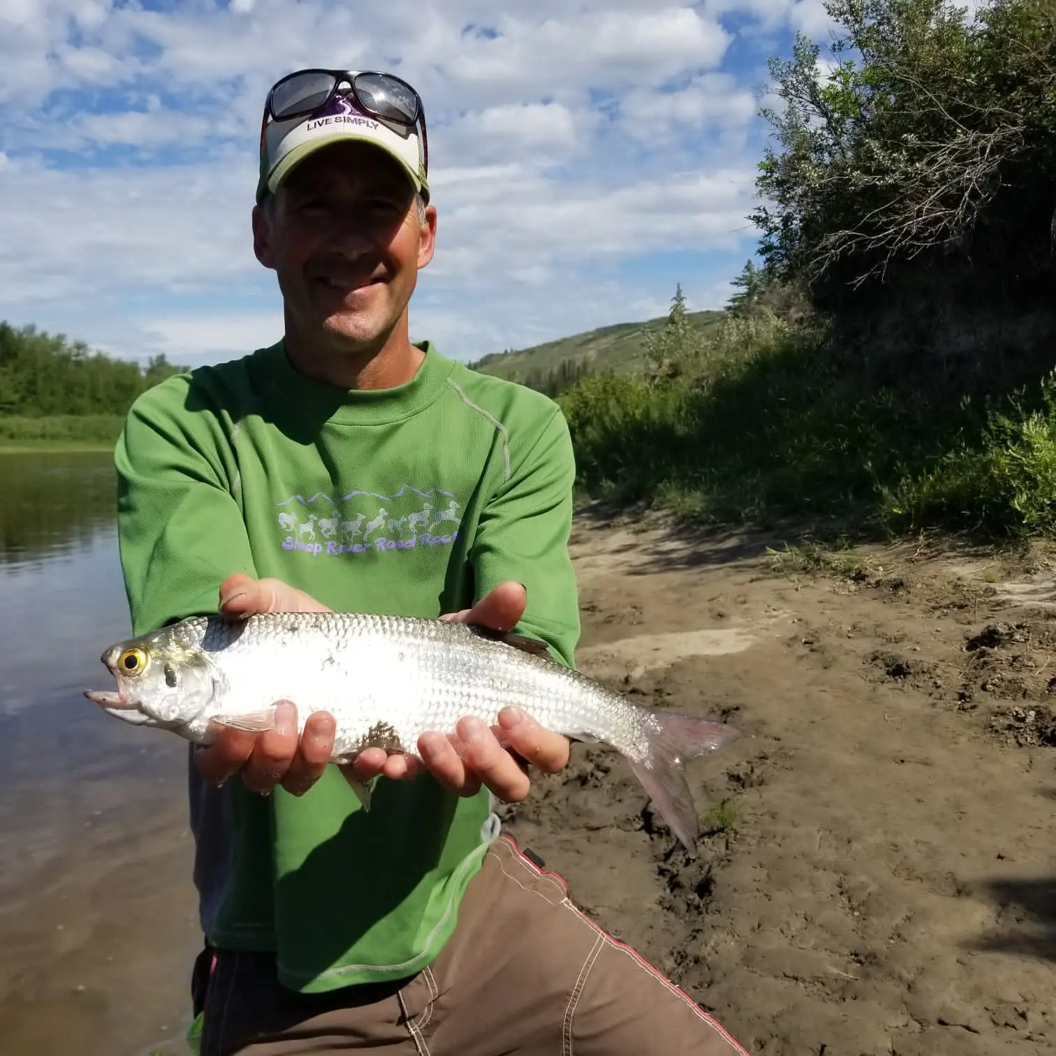 ᐅ Telford Lake fishing reports🎣• Alberta, Canada fishing