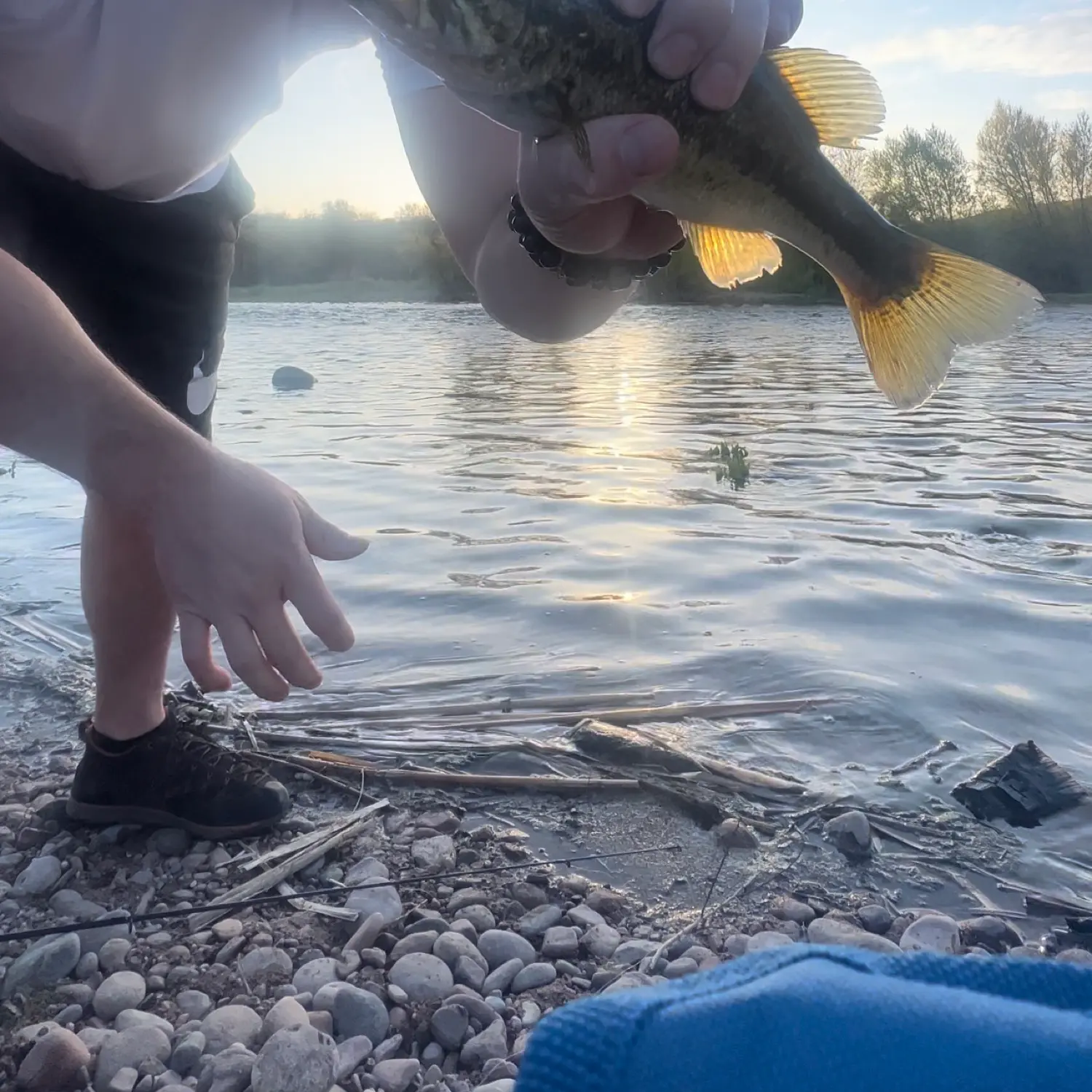 Bass fishing at Lower Salt River : r/ArizonaFishing