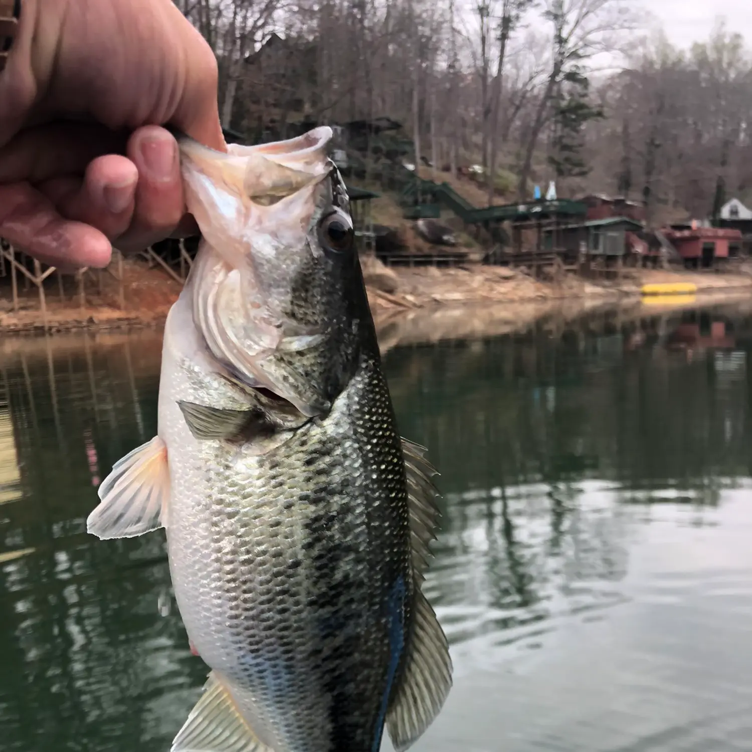Fishing in and around Lake Lure, NC