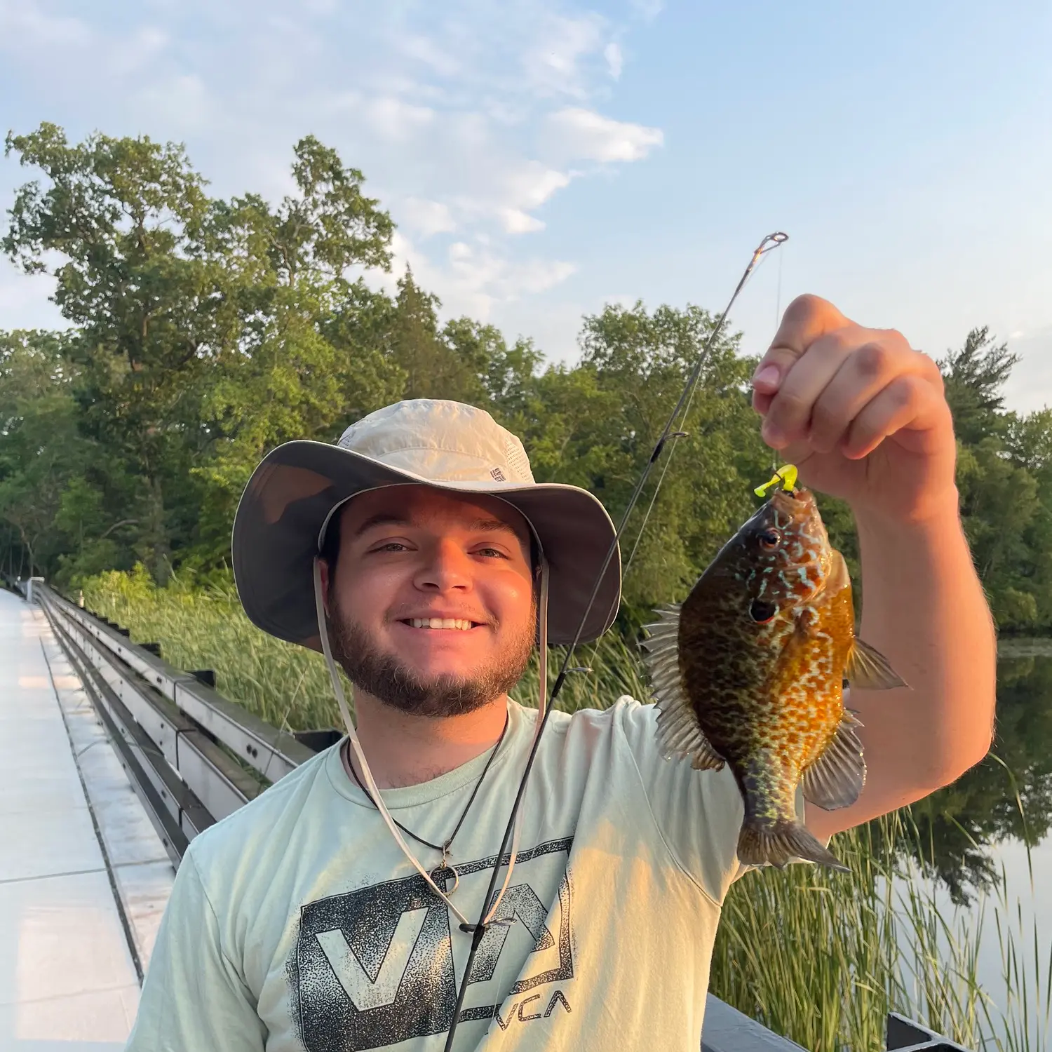 ᐅ Lake Louise fishing reports🎣• Howell, NJ (United States) fishing