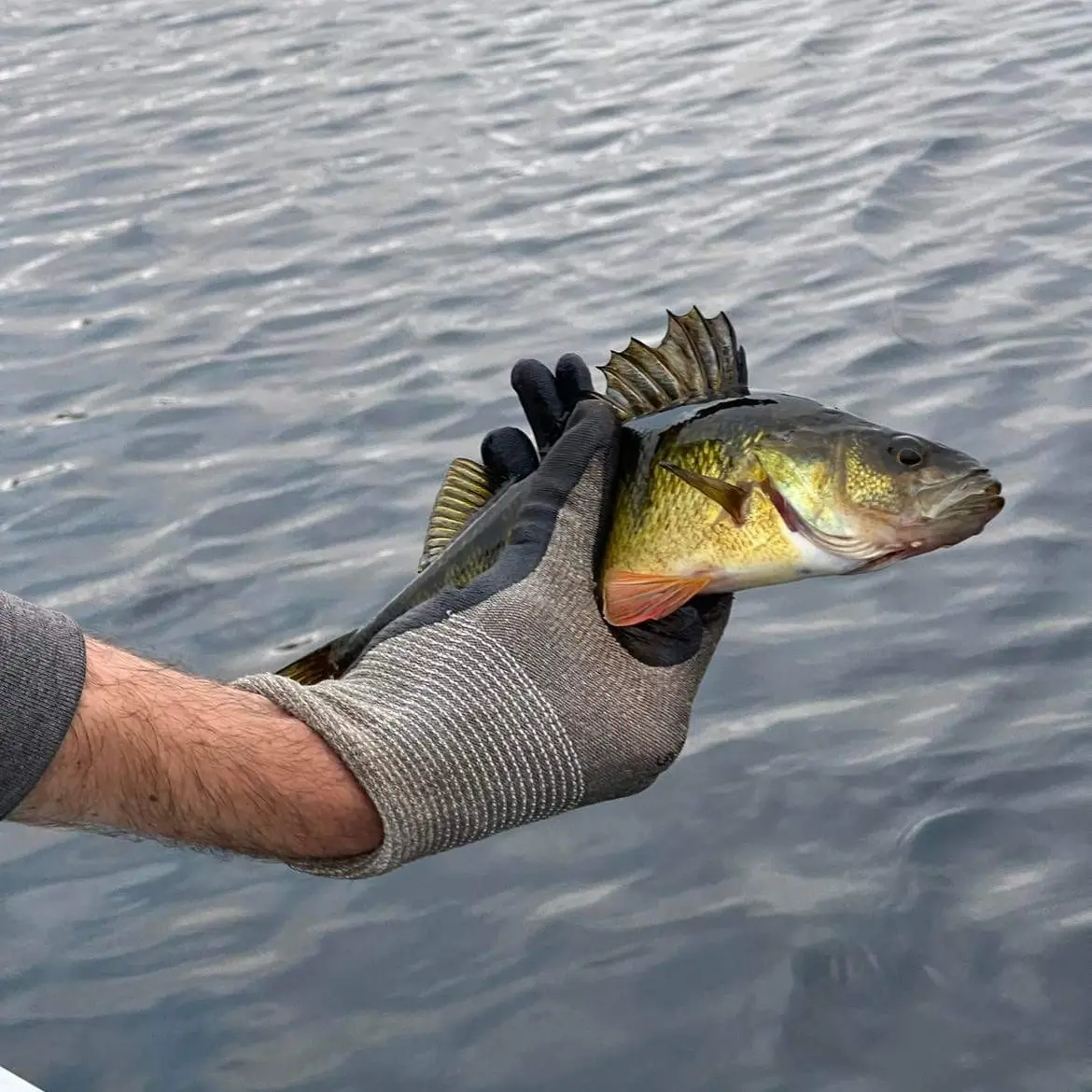 Fishing on Weslemkoon Lake - Naturally Lennox & Addington