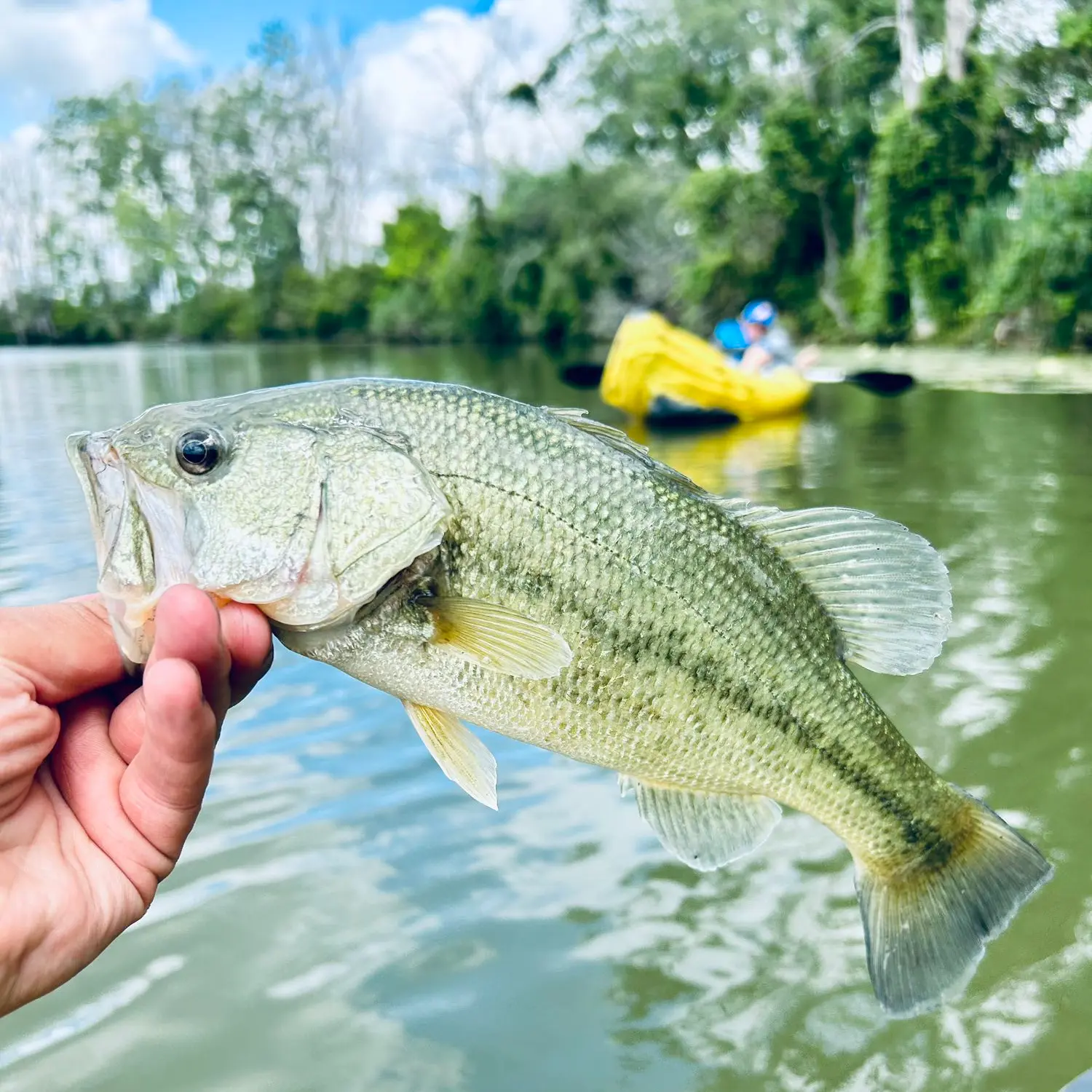 Bolles Harbor 4-14 & 15 - Michigan Waters Fishing Reports