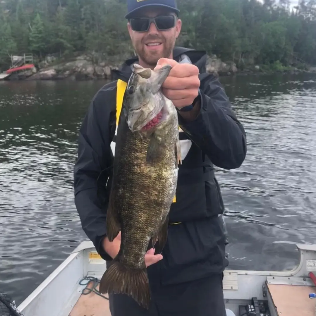 ᐅ Caddy Lake fishing reports🎣• Manitoba, Canada fishing