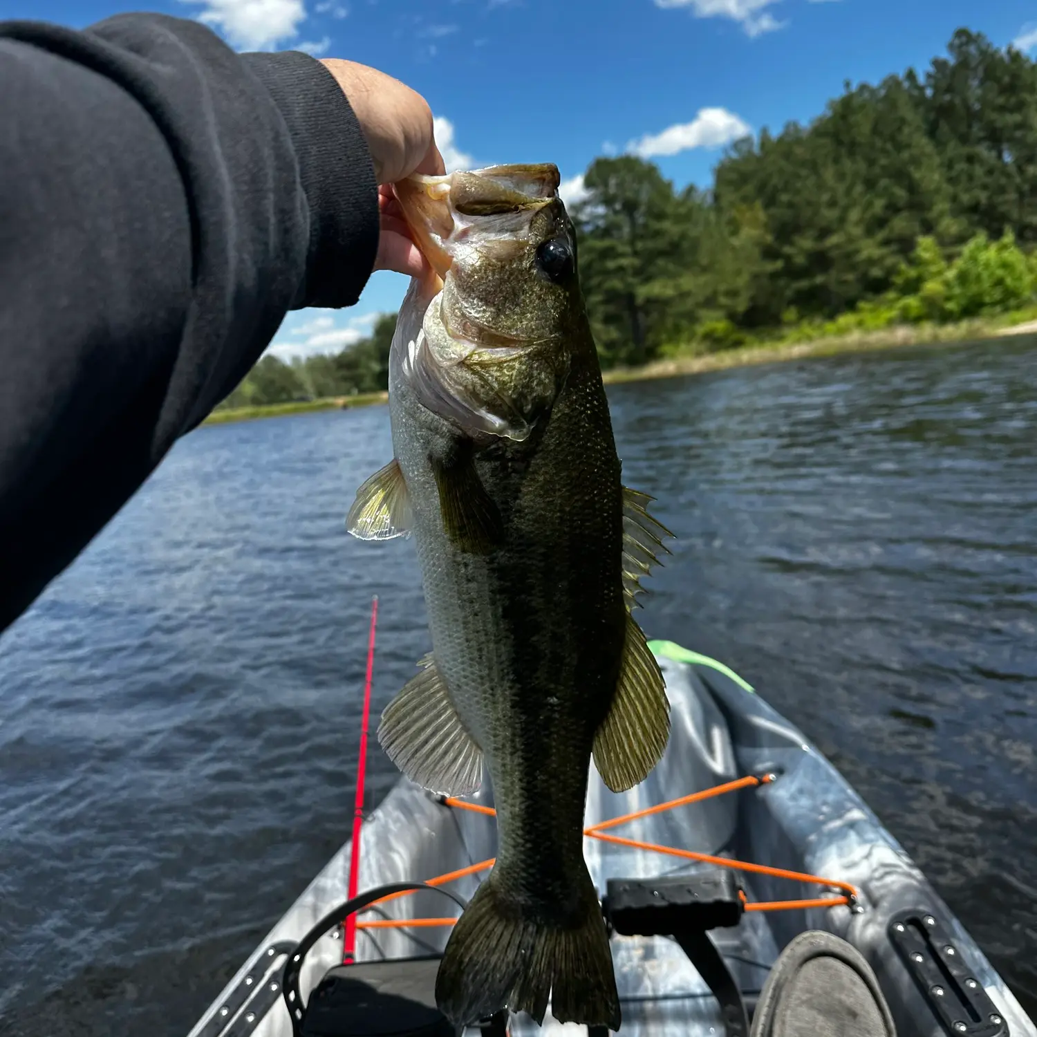 Spring lurches in with better fishing around Chicago for catfish, bluegill  and bass,, despite high waters for this sprawling raw-file Midwest Fishing  Report - Chicago Sun-Times