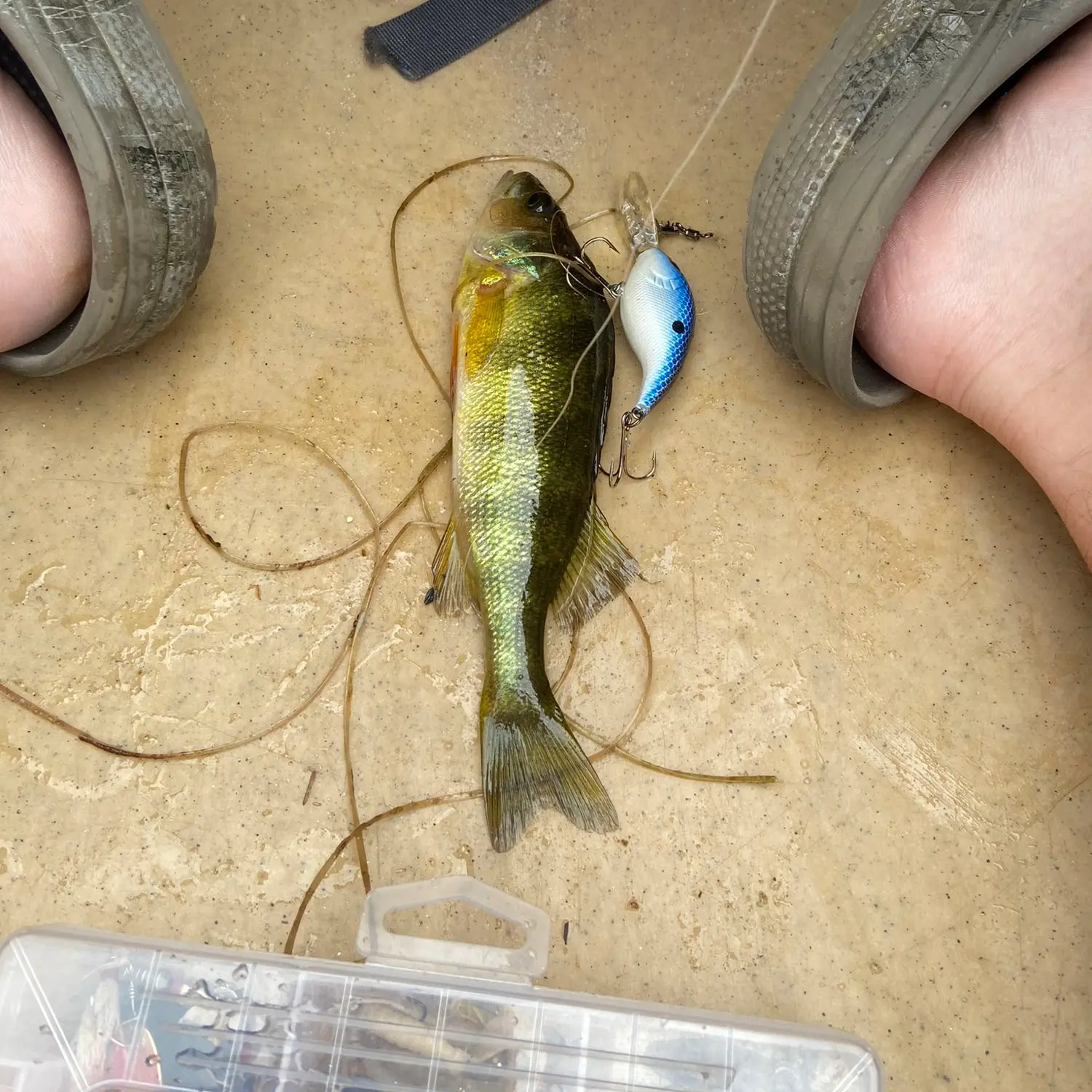 Can any of you provide any info on this hardbait I found in the pond I was  fishing today? Best way to clean it? I plan on replacing hooks. :  r/Fishing_Gear