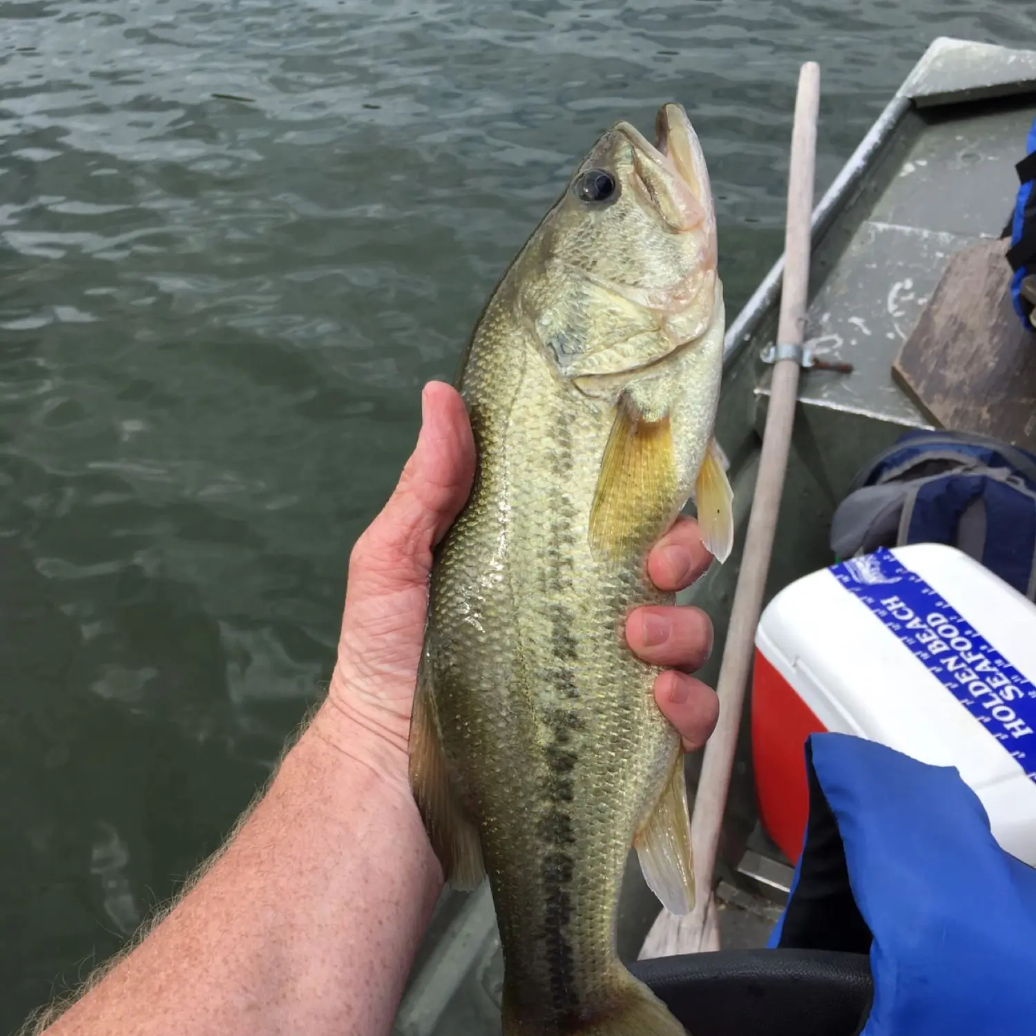 ᐅ Lynchburg Reservoir fishing reports🎣• Madison Heights, VA (United  States) fishing