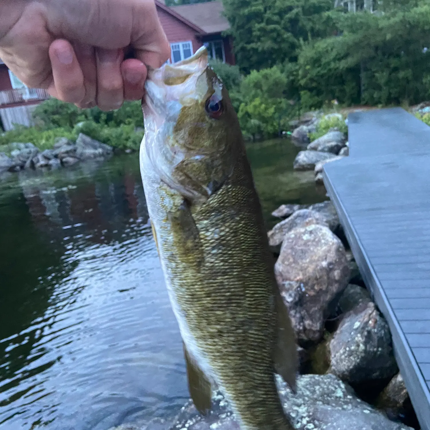 Lake Sunapee, New Hampshire - Pinup Girl Fishing