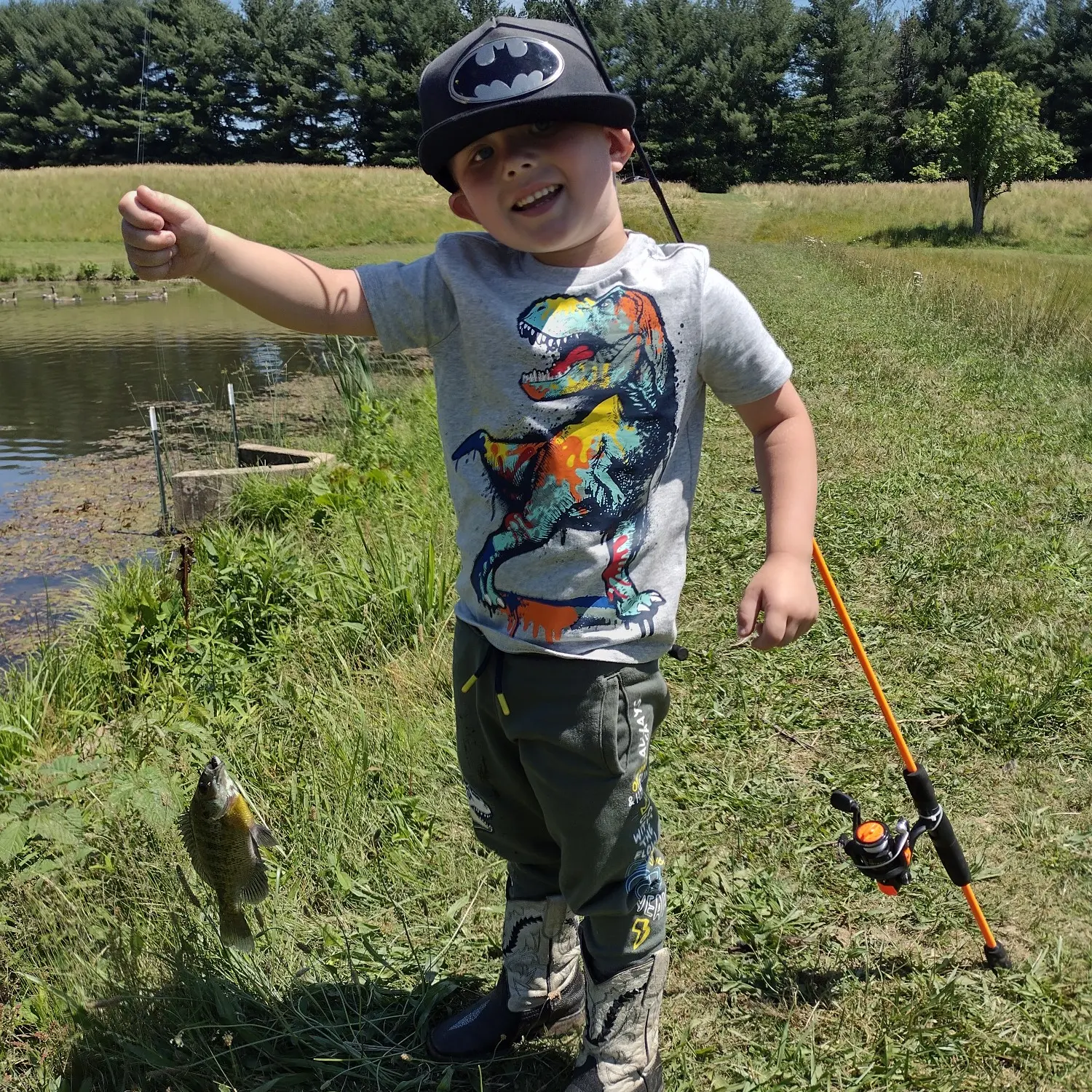 ᐅ Tygart Valley River fishing reports🎣• Fairmont, WV (United States)  fishing
