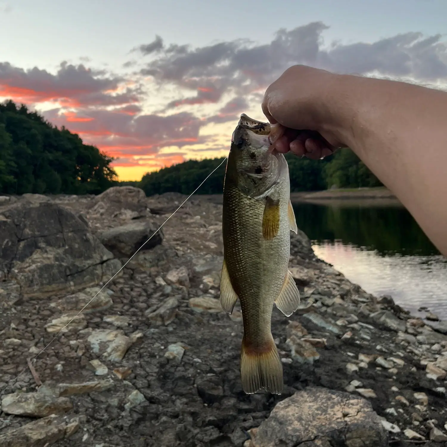 TOP 10 BEST Fishing near Winchester, MA 01890 - Updated 2024 - Yelp