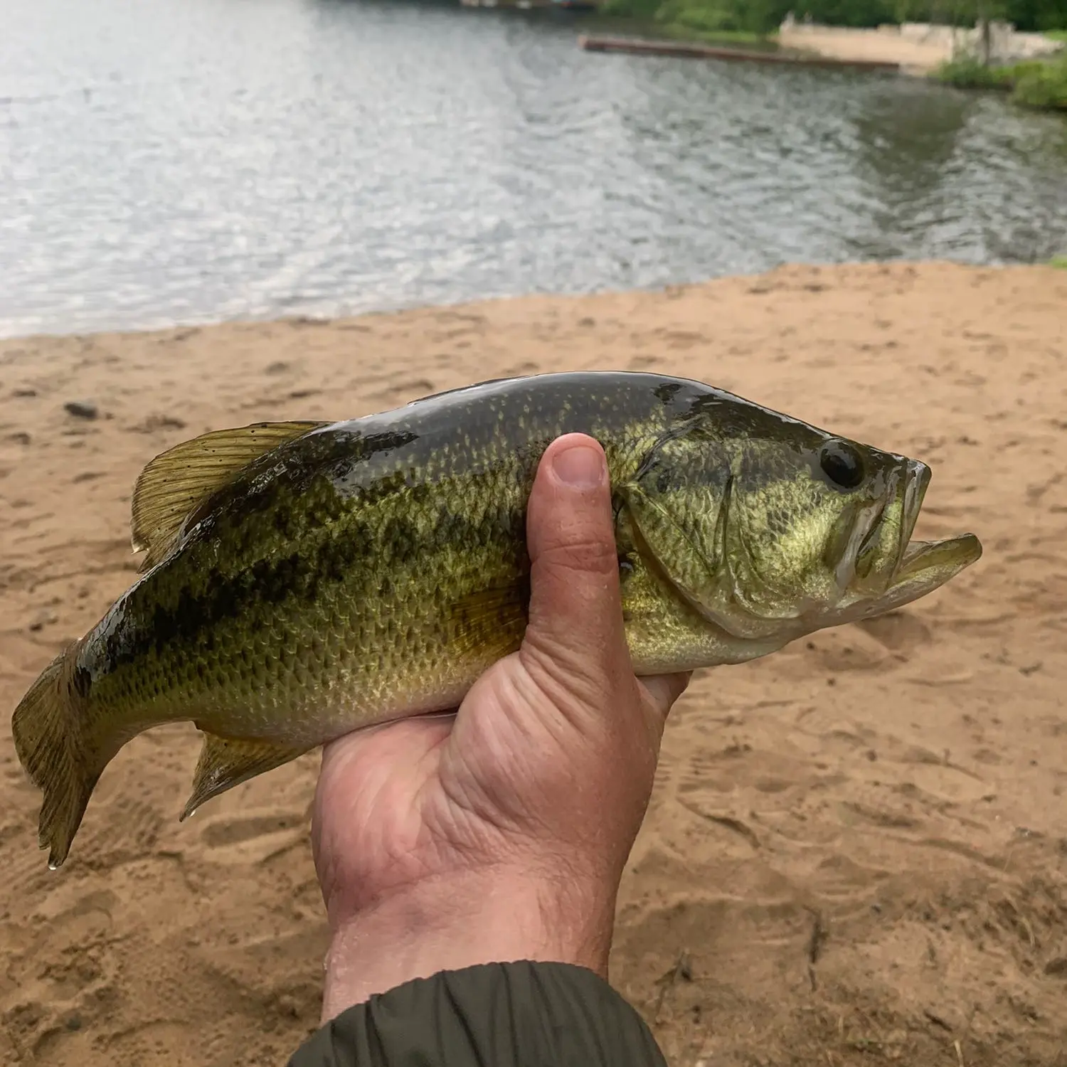 ᐅ Hampel Lake fishing reports🎣• Ontario, Canada fishing