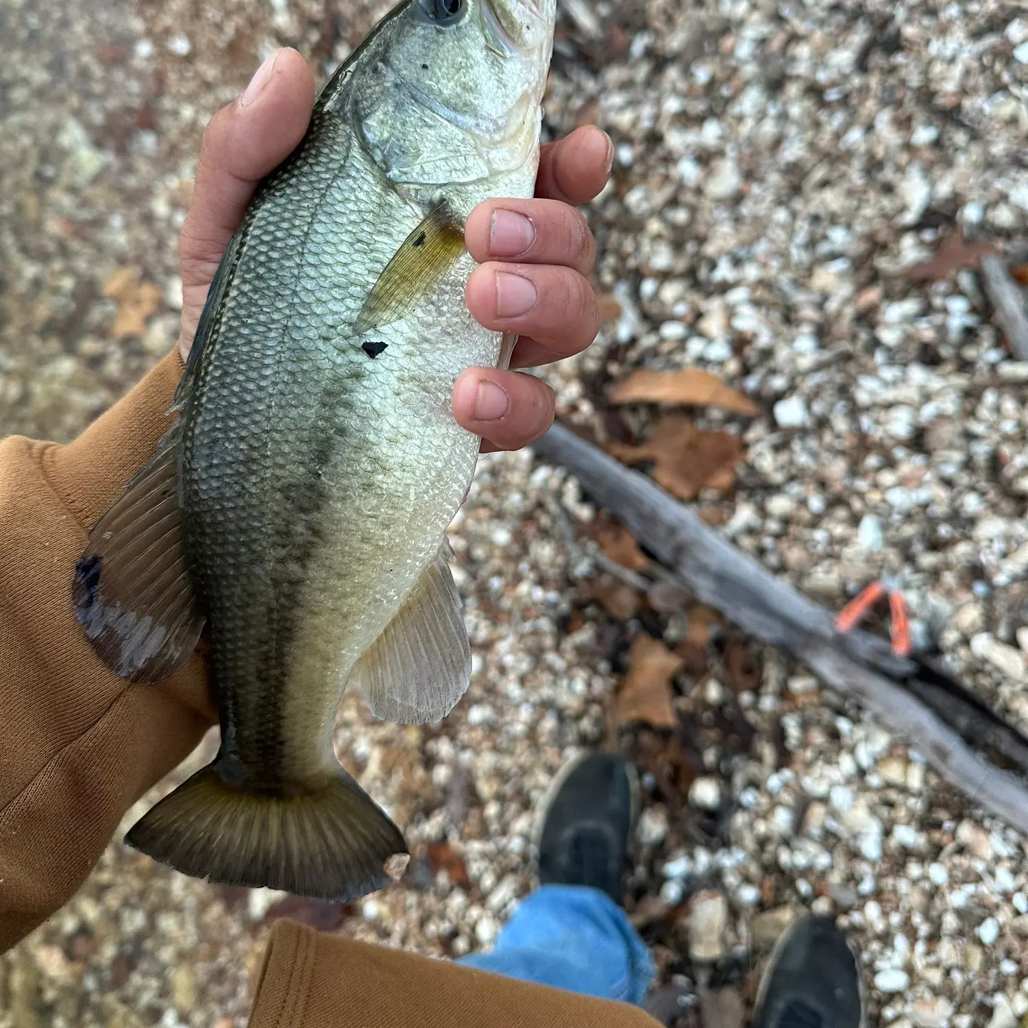 Hudson Lake Fishing Map