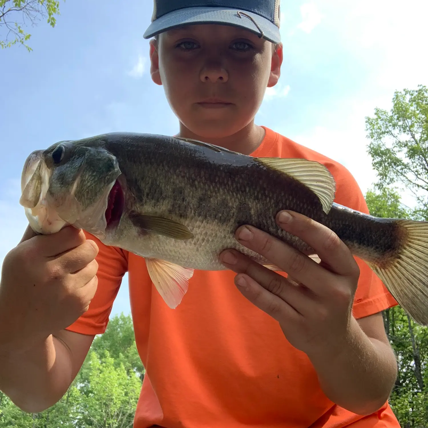 ᐅ Five County Sportsman Lake fishing reports🎣• Tupelo, MS (United ...