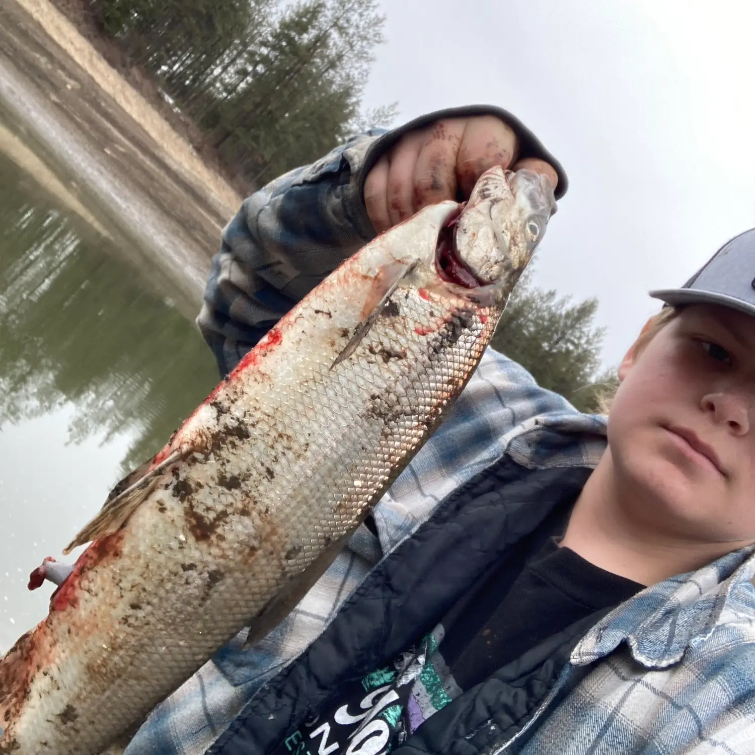 ᐅ Colville River fishing reports🎣• WA, United States fishing