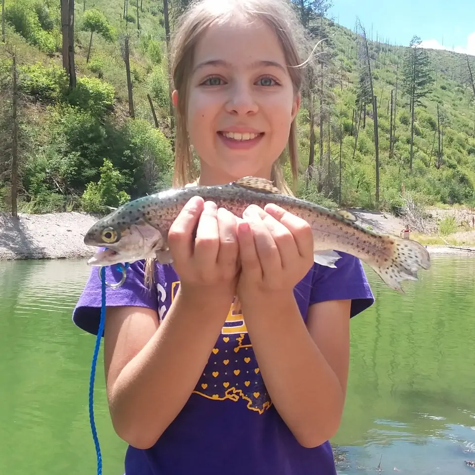 State Fishing Report: Week Of Aug. 13 – Los Alamos Reporter