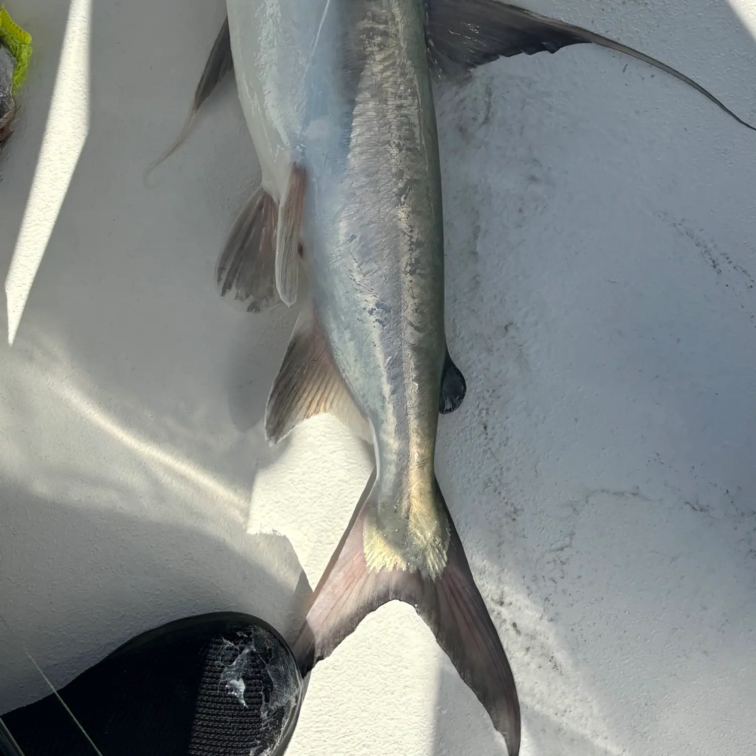 ᐅ Yucca Pen Creek fishing reports🎣• Cape Coral, FL (United States) fishing