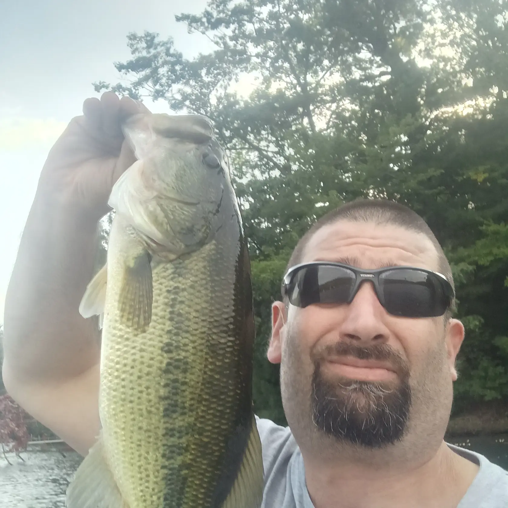 ᐅ Arnold Lake fishing reports🎣• Oneonta, NY (United States) fishing