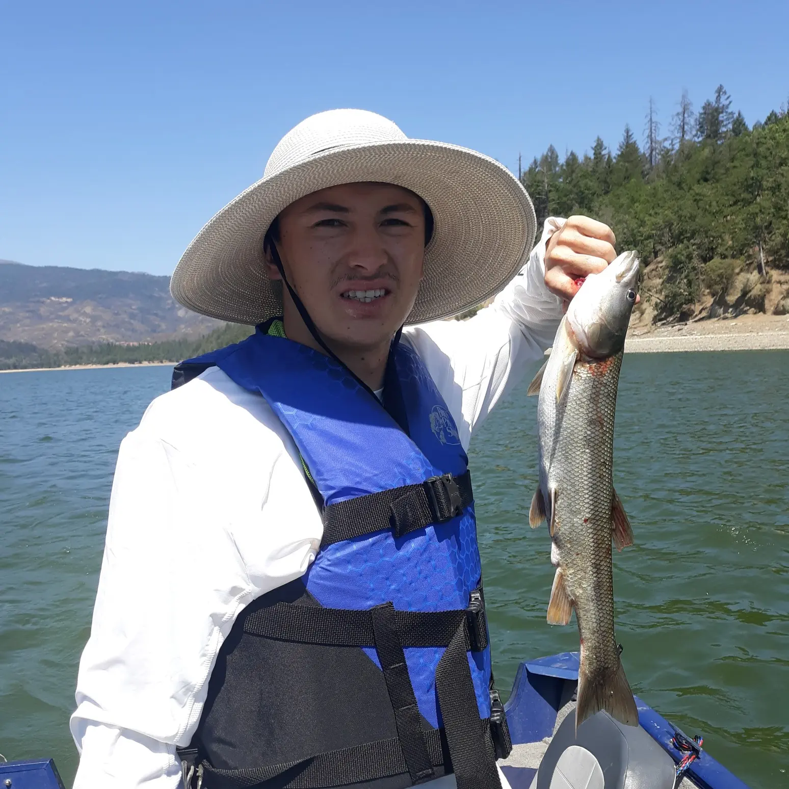 ᐅ Lake Pillsbury fishing reports🎣• Ukiah, CA (United States) fishing