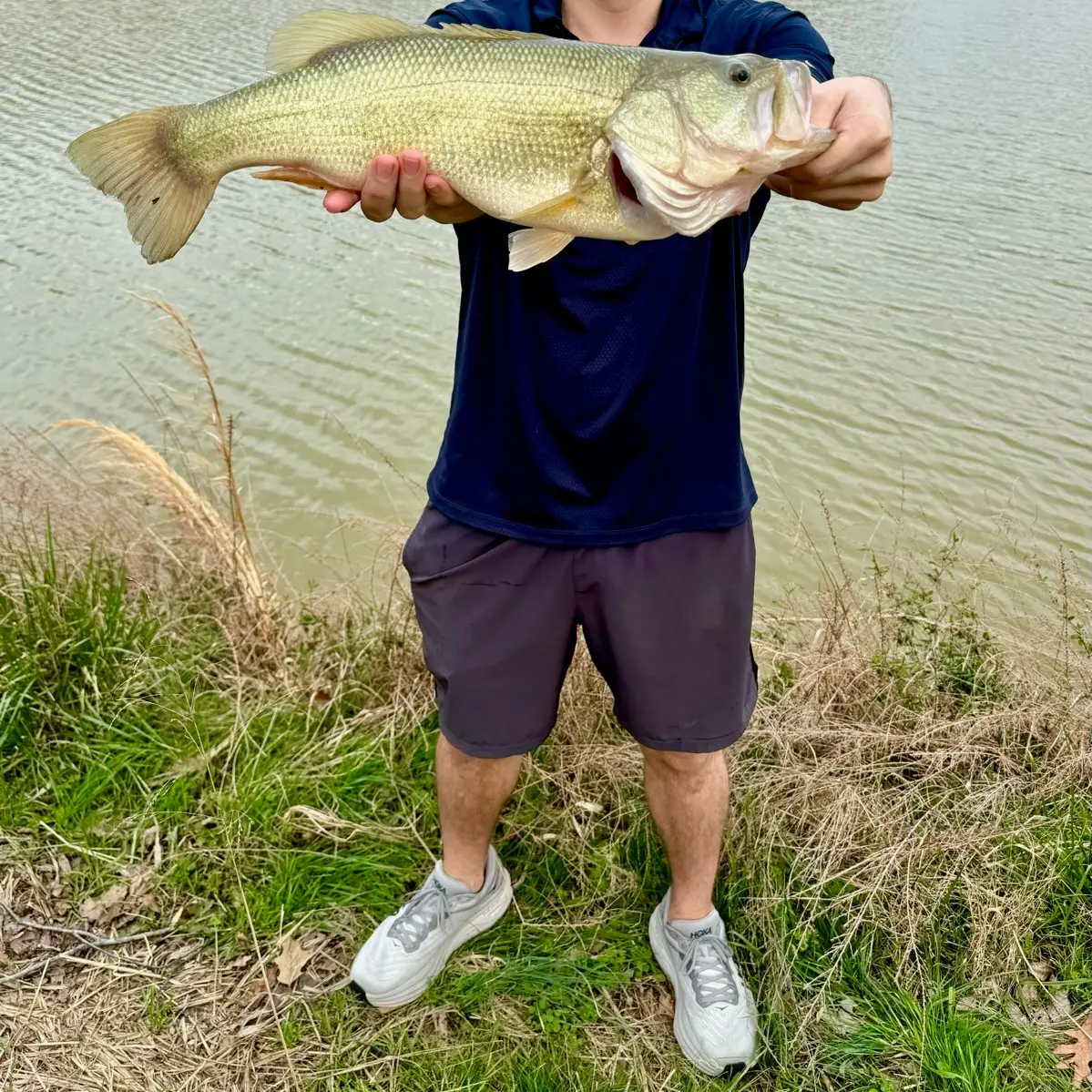 ᐅ Clarks River fishing reports🎣• Paducah, KY (United States) fishing