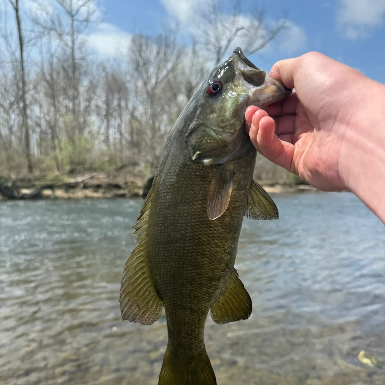 Kayak Fishing For Smallmouth Bass On The South Fork Holston River Northeast  Tennessee 