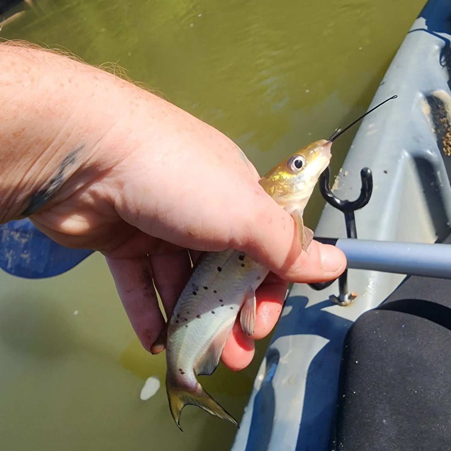 Fishing - Discover White River