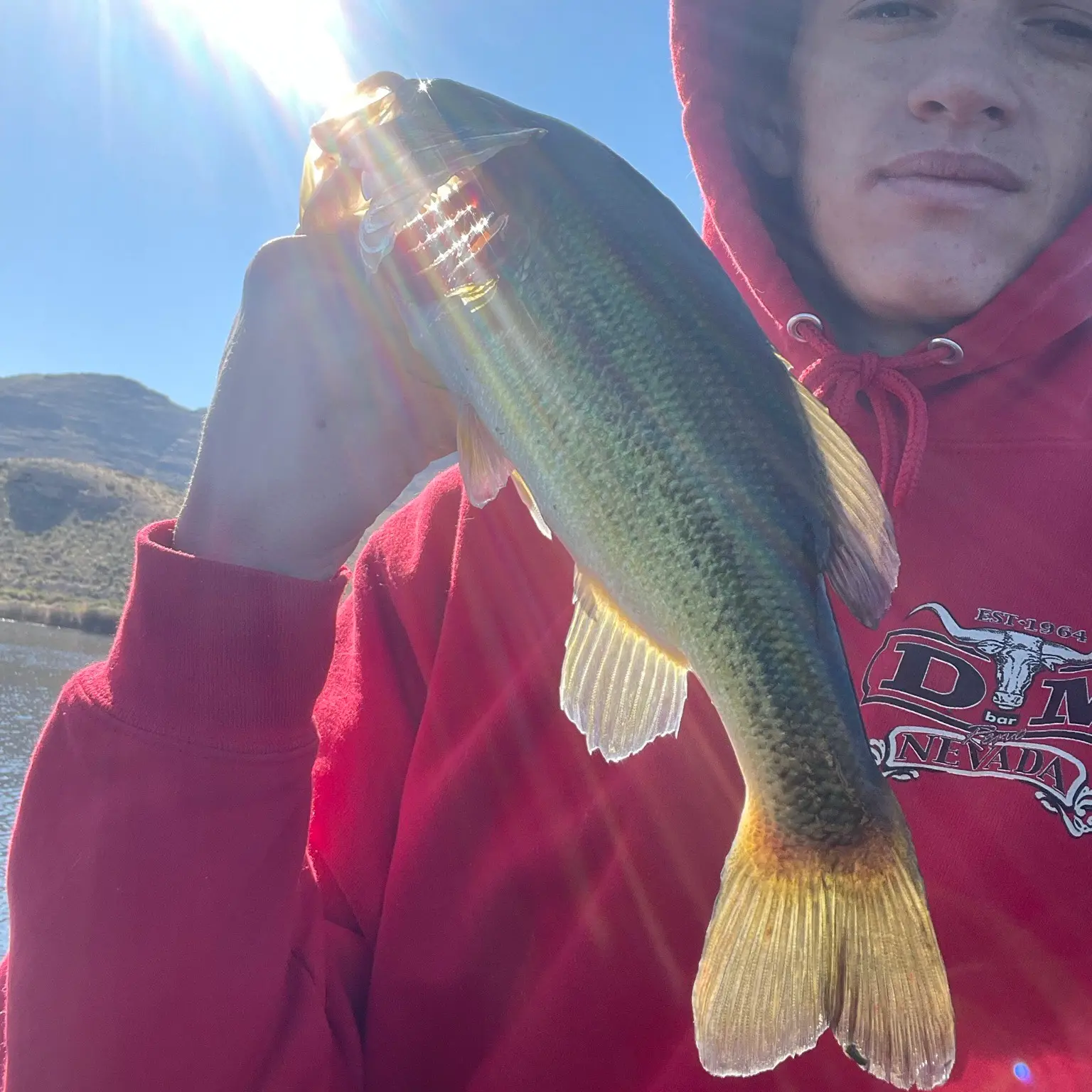 Legal or not(in Nevada) : r/bassfishing