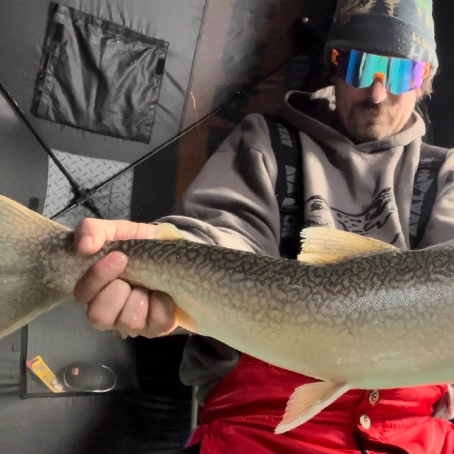 Spray Lakes Reservoir Fishing - Alberta Fishing Report