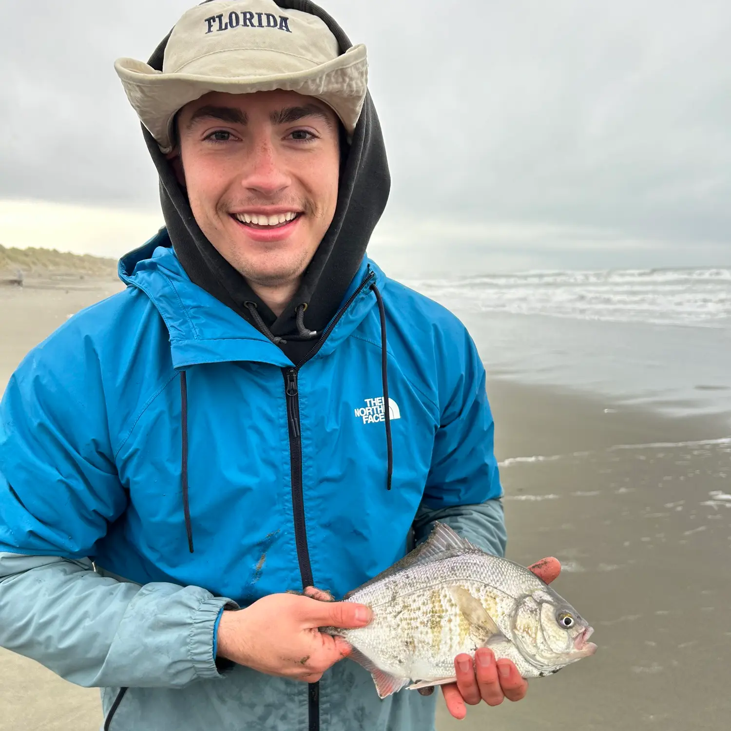 Redtail Surfperch