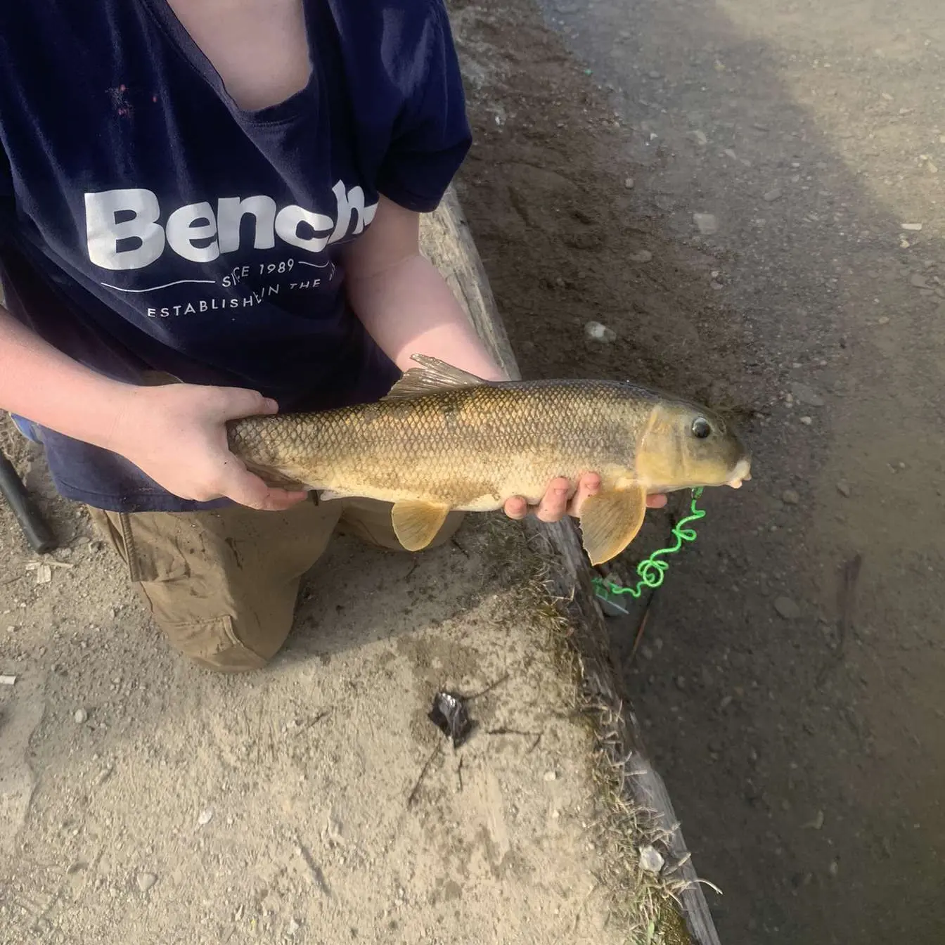 ᐅ Meaford Creek fishing reports🎣• Ontario, Canada fishing