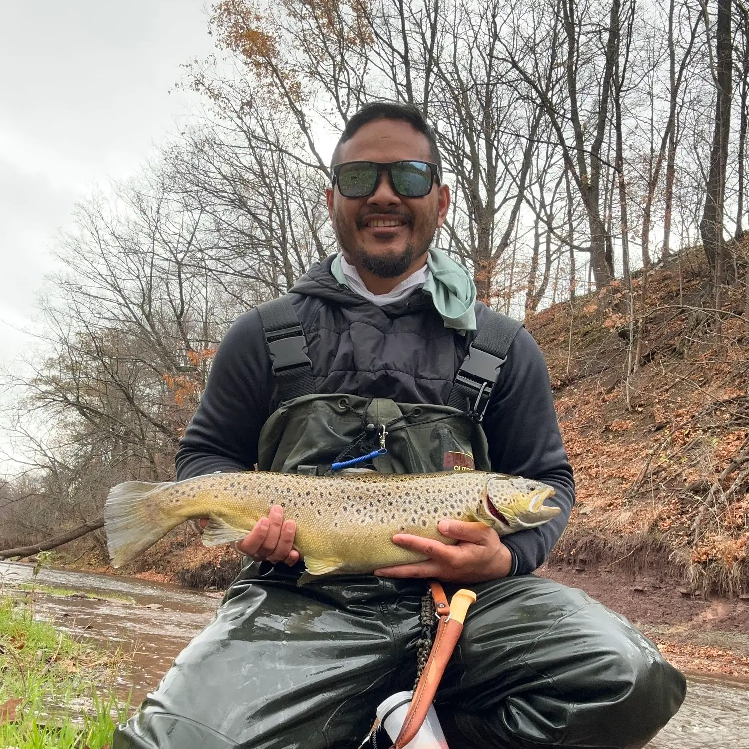 Lots of salmon running on Bronte Creek in Oakville, Ontario. : r/Fishing