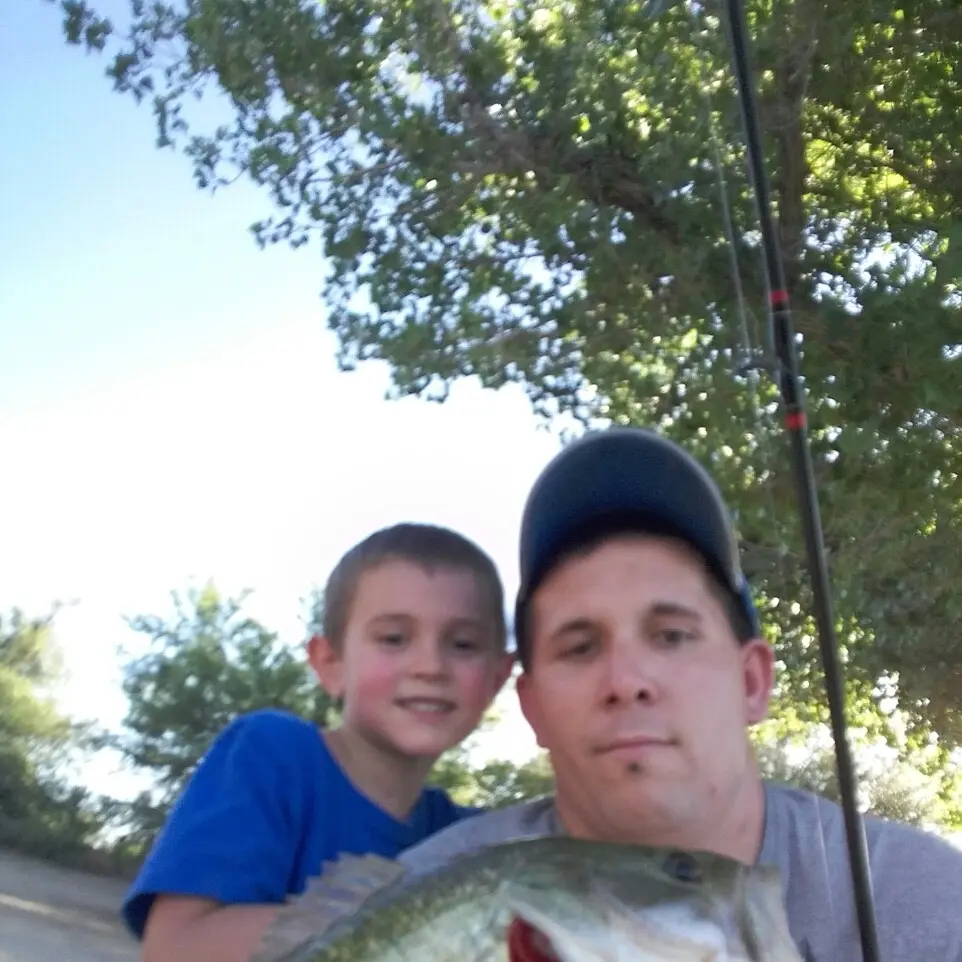 ᐅ Sabino Creek fishing reports🎣• Catalina Foothills, AZ (United States ...