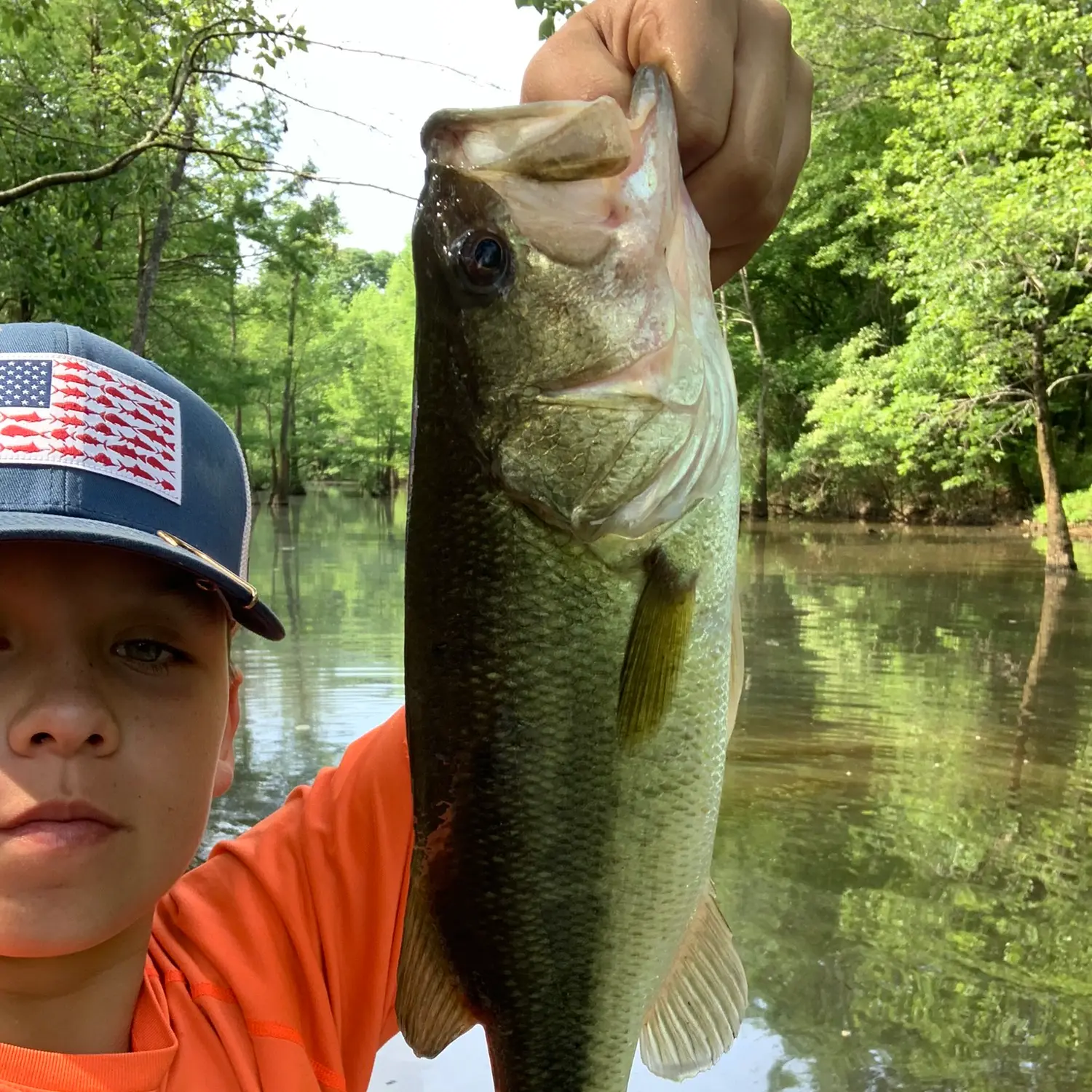 ᐅ Five County Sportsman Lake fishing reports🎣• Tupelo, MS (United ...