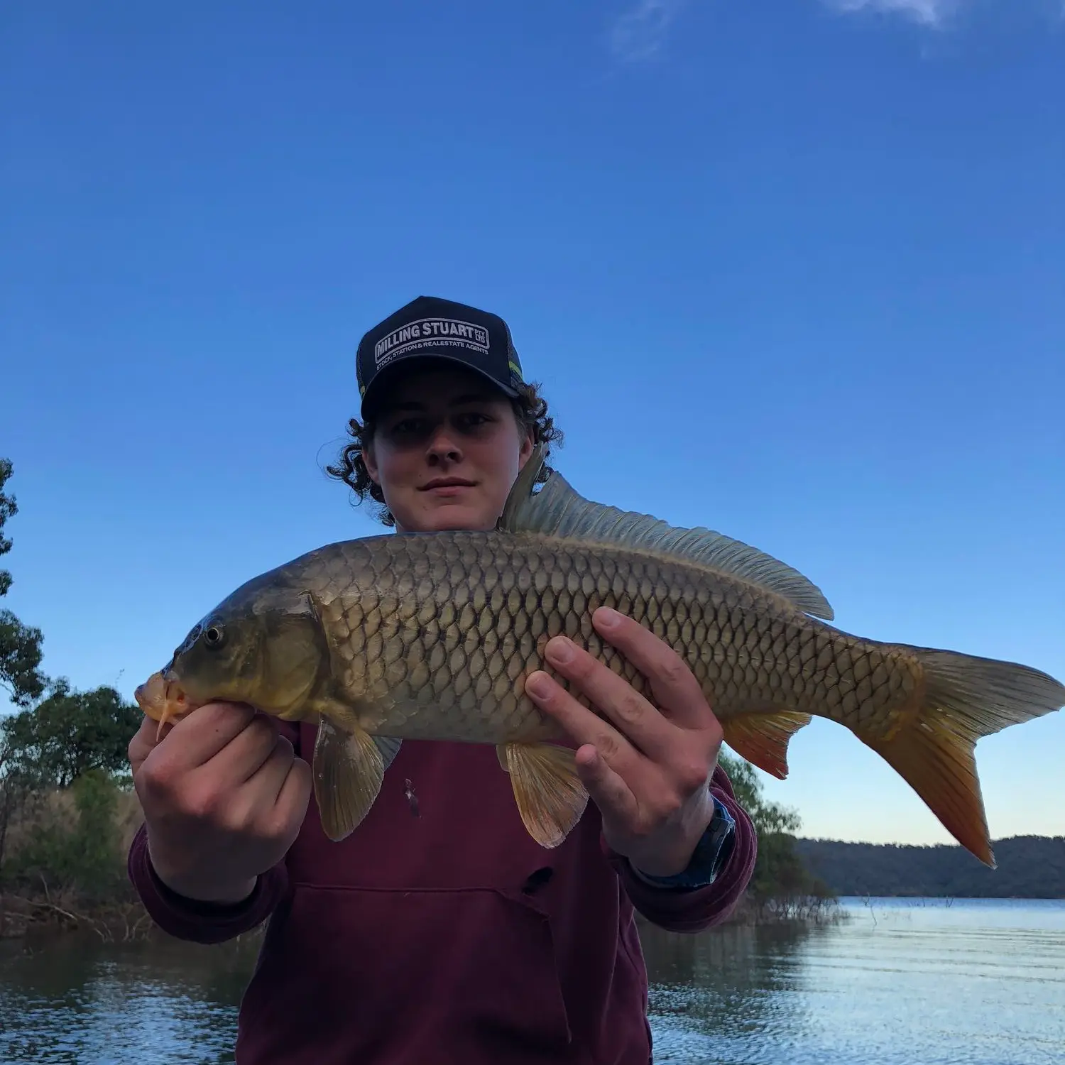 Glenbawn Dam Carp fishing with a good mate 