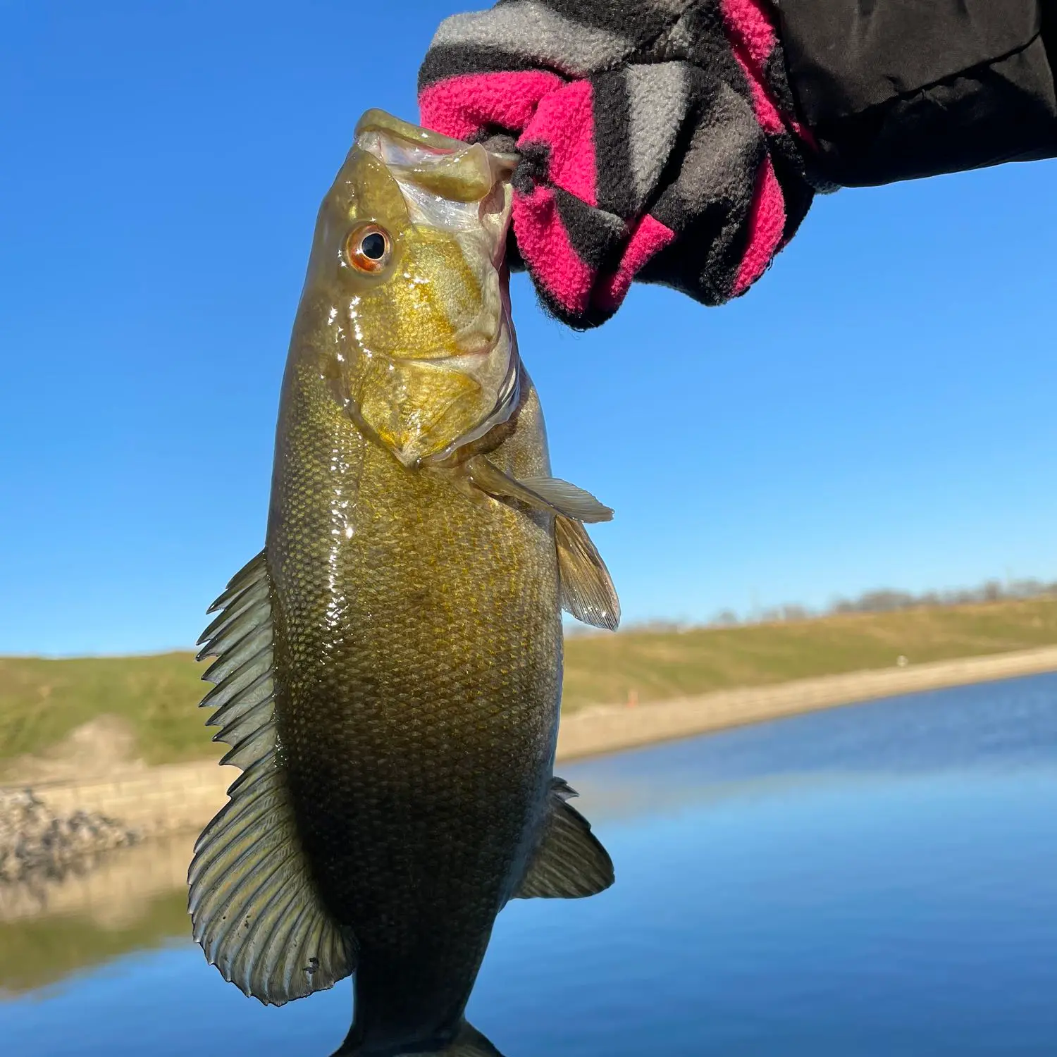 Illinois River Smallmouth Bass Fishing