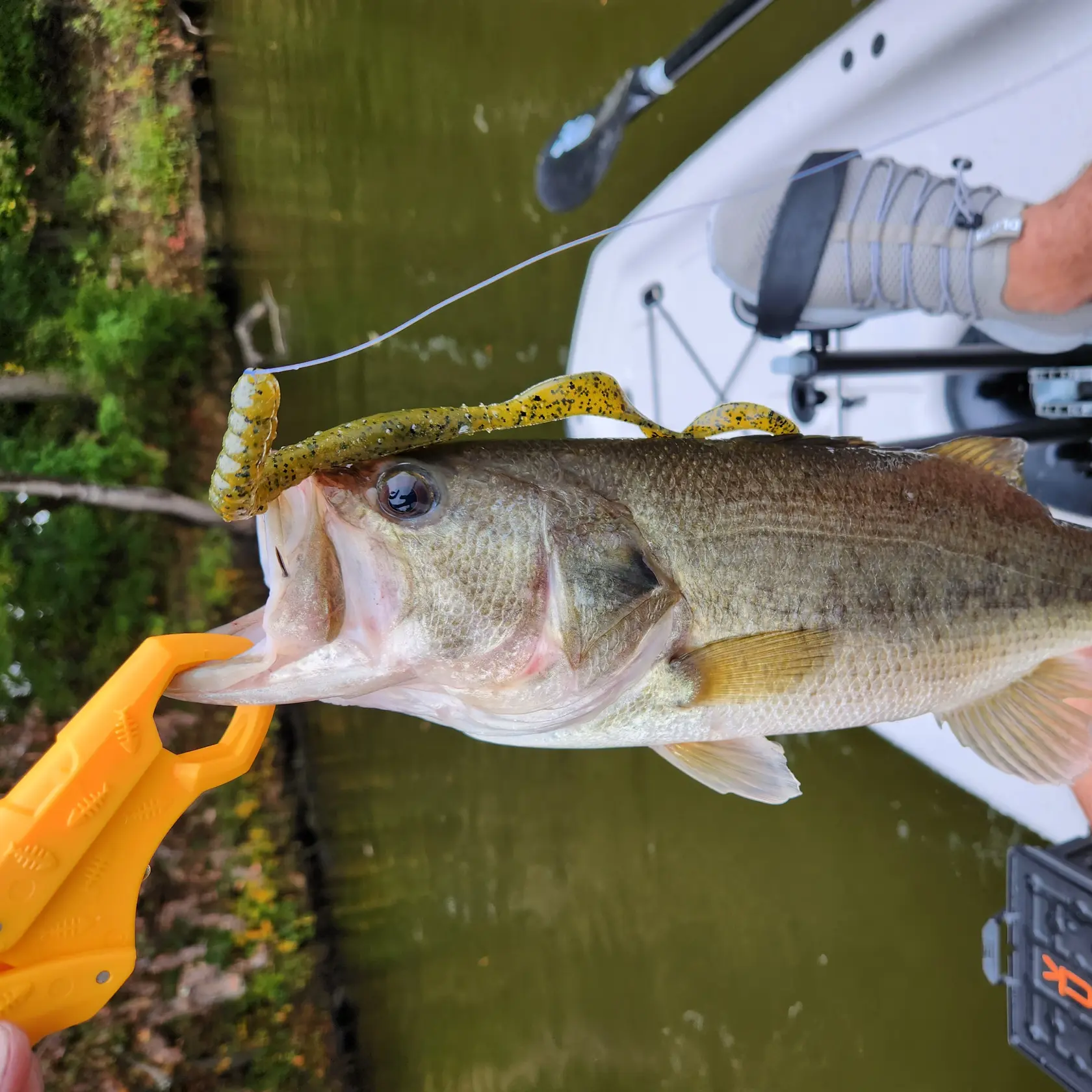 Best 15 Fishing Bait in Waxhaw, NC with Reviews