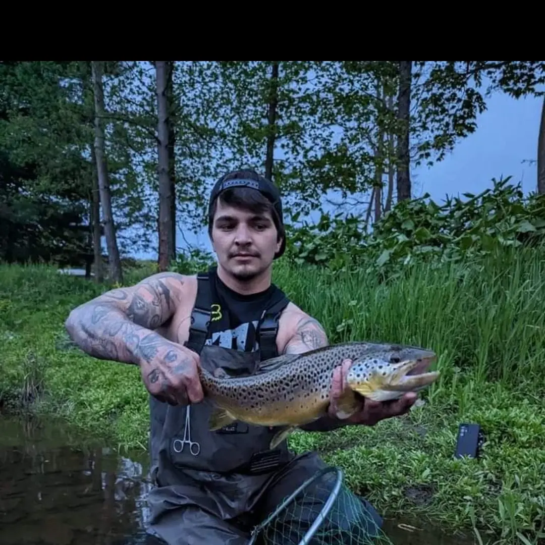 Fishing Elk Creek in Pennsylvania – 365 Angler